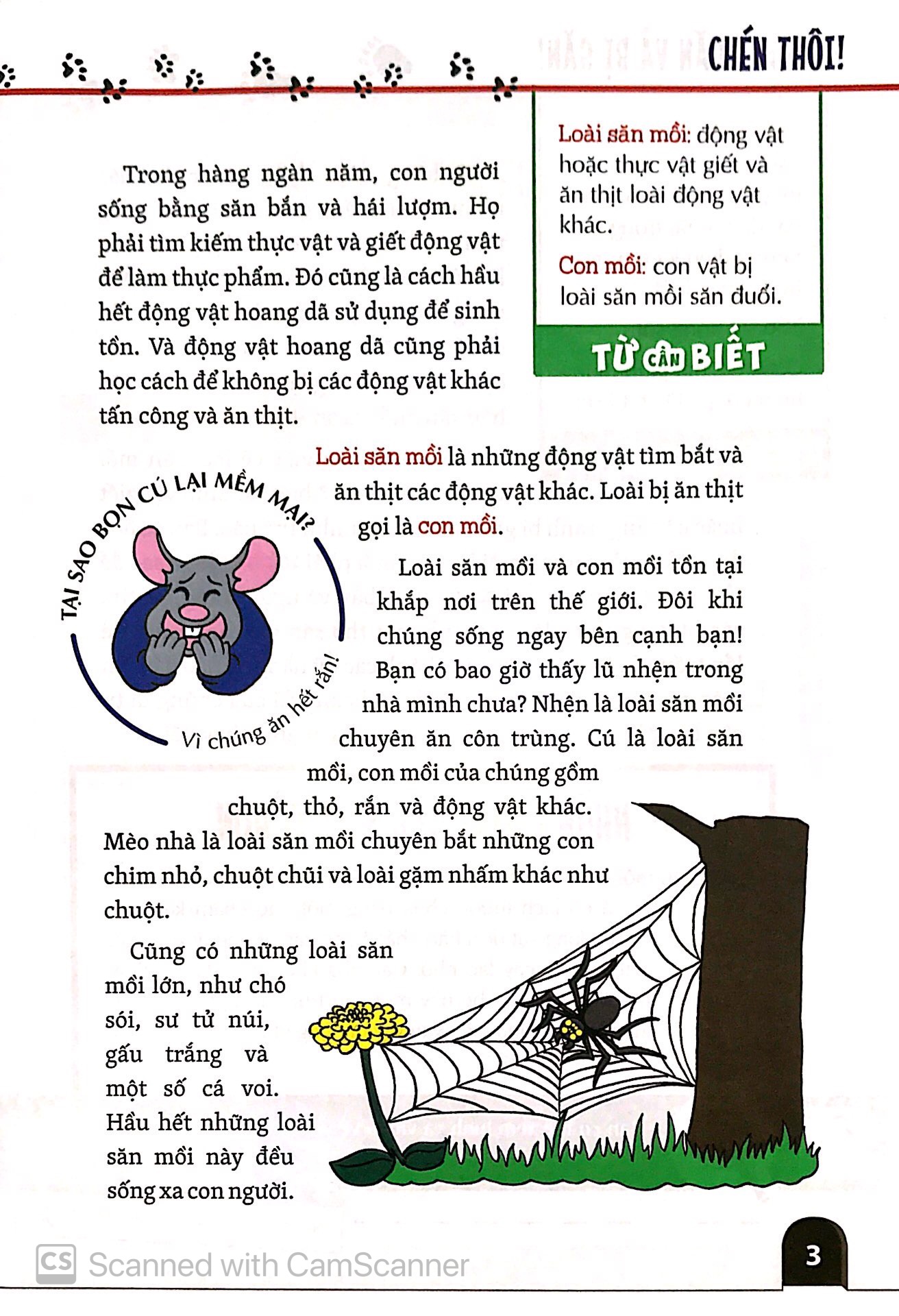 khám phá săn và bị săn - cùng 25 dự án tuyệt vời