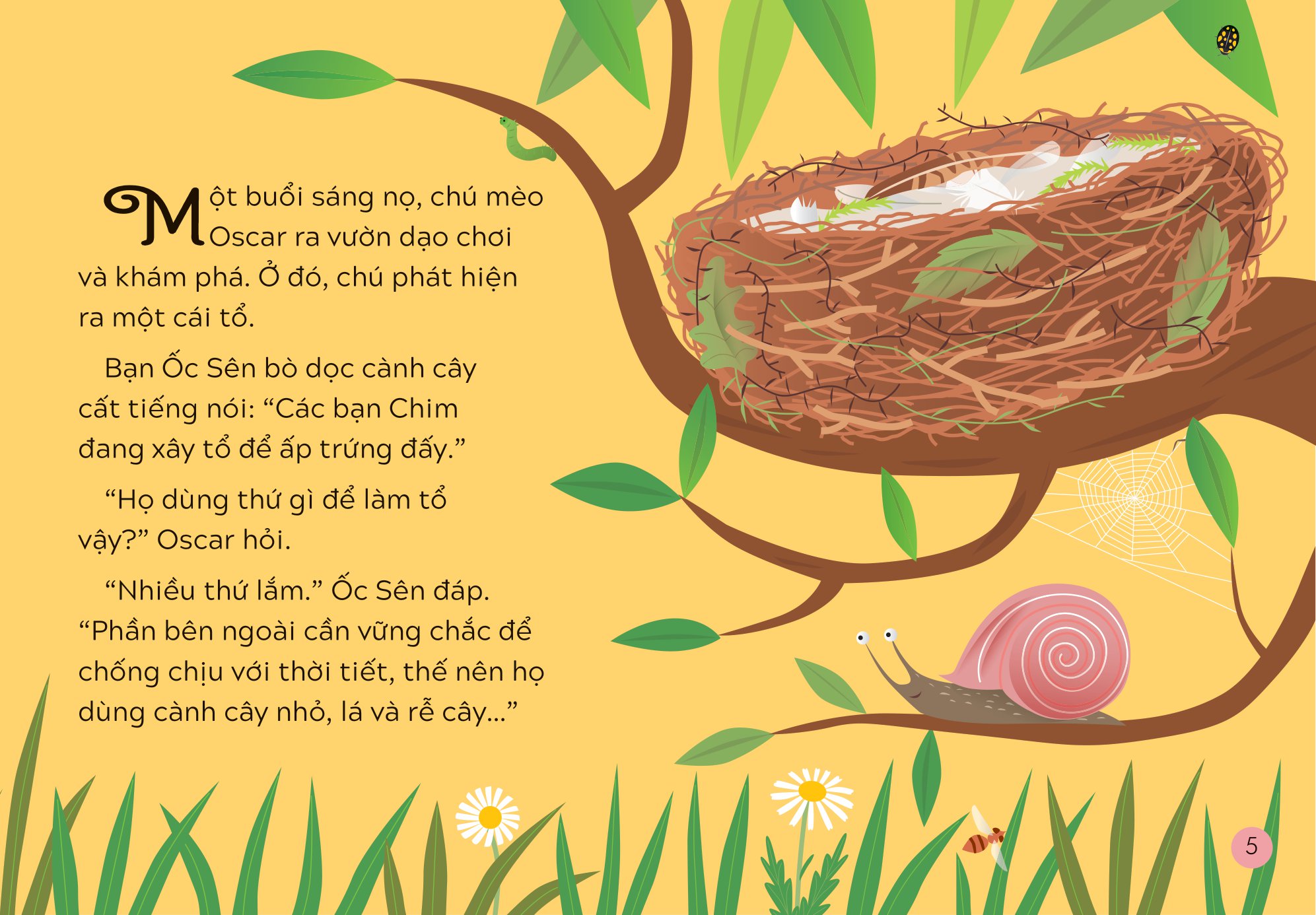 khám phá thế giới cùng mèo oscar - các vật liệu quanh ta