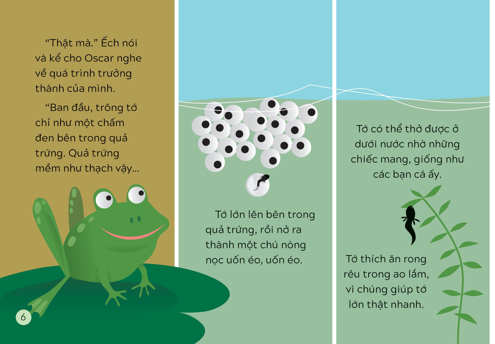 khám phá thế giới cùng mèo oscar - sự sinh trưởng