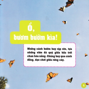 khám phá thế giới diệu kì - bươm bướm