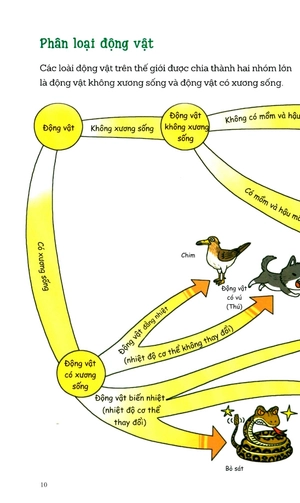 khám phá thế giới động vật