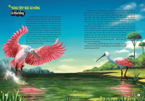 khám phá thế giới động vật kì thú: thế giới của các thiên thần đáng yêu (tái bản 2021)