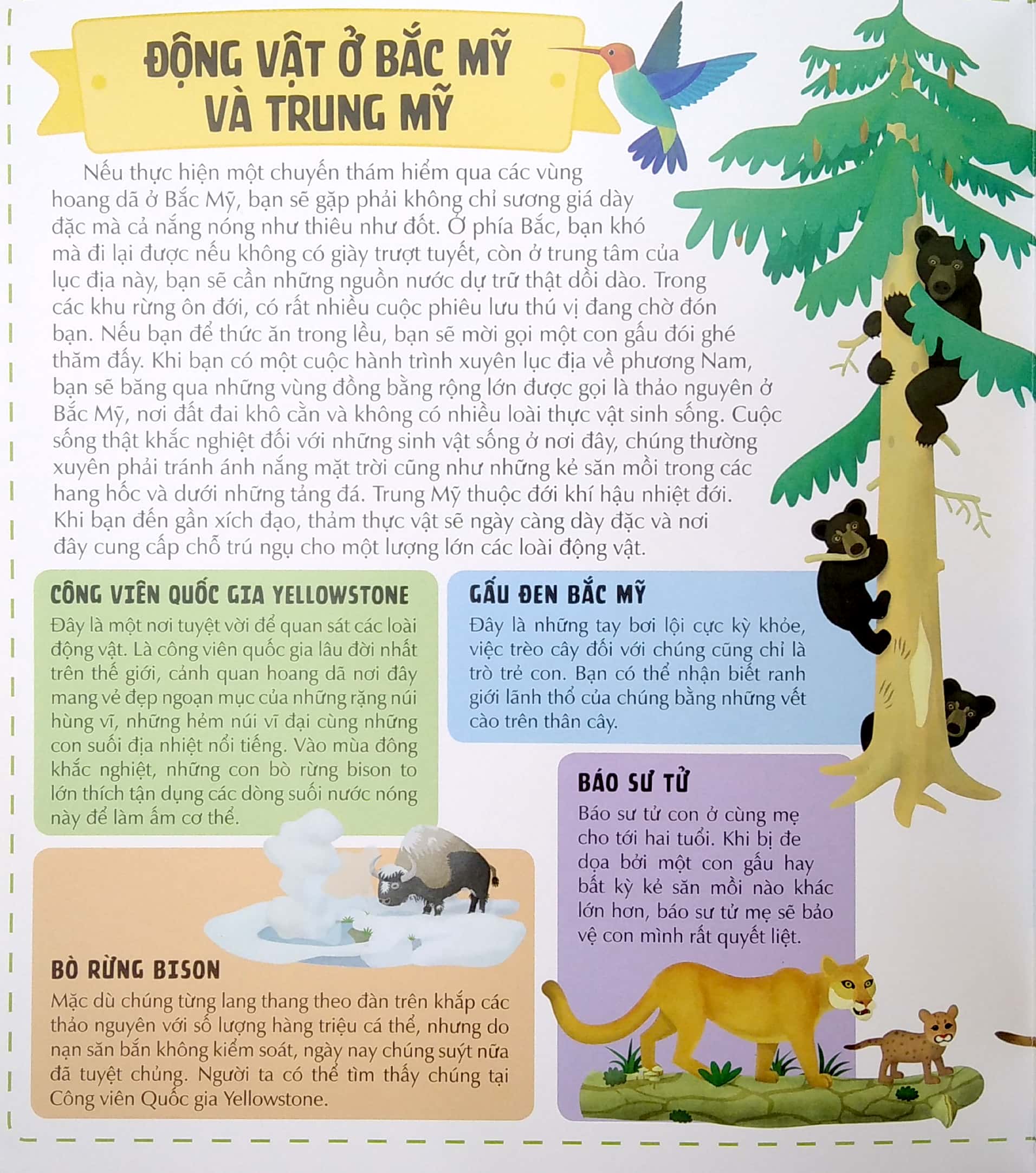 khám phá thế giới động vật phong phú qua bảy tấm bảng đồ mở rộng - atlas động vật