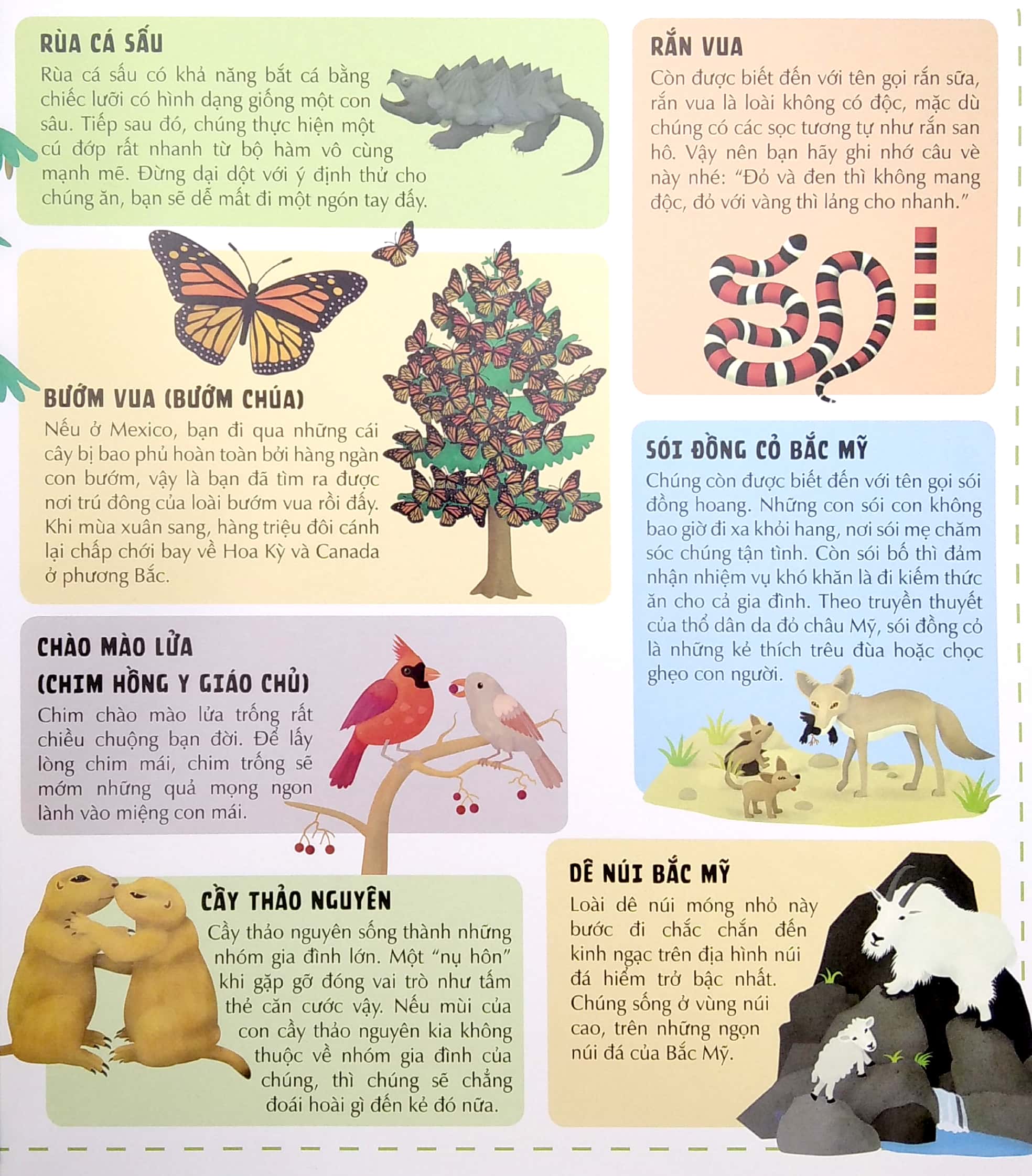 khám phá thế giới động vật phong phú qua bảy tấm bảng đồ mở rộng - atlas động vật