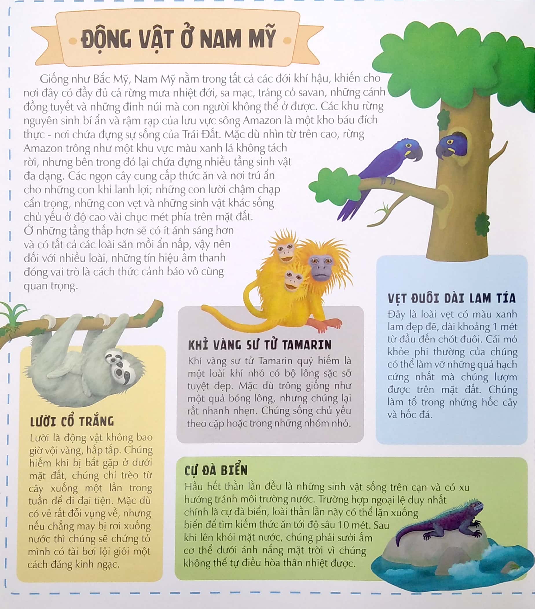 khám phá thế giới động vật phong phú qua bảy tấm bảng đồ mở rộng - atlas động vật