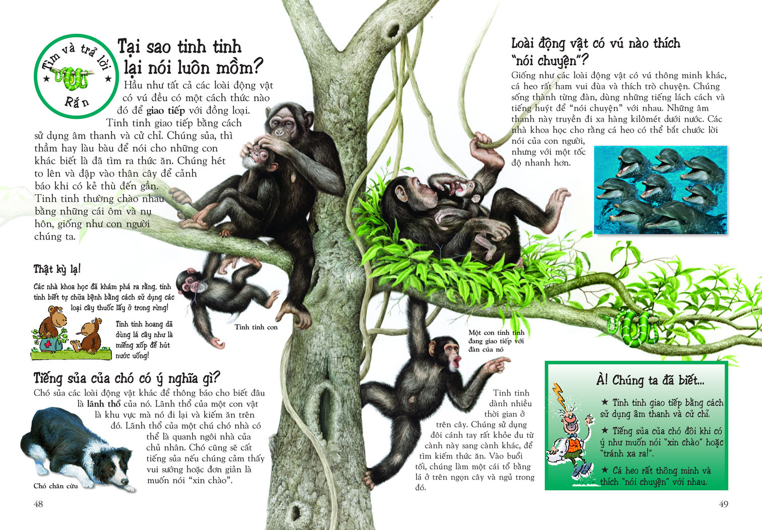 khám phá thế giới động vật (tái bản 2018)