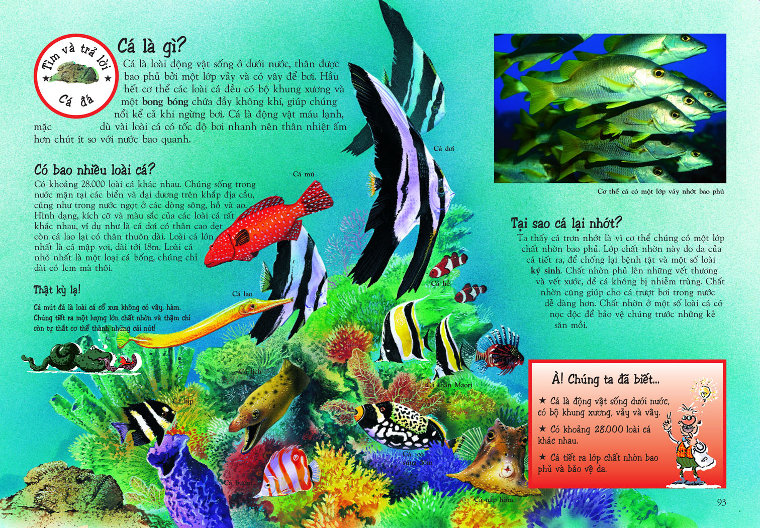 khám phá thế giới động vật (tái bản 2018)