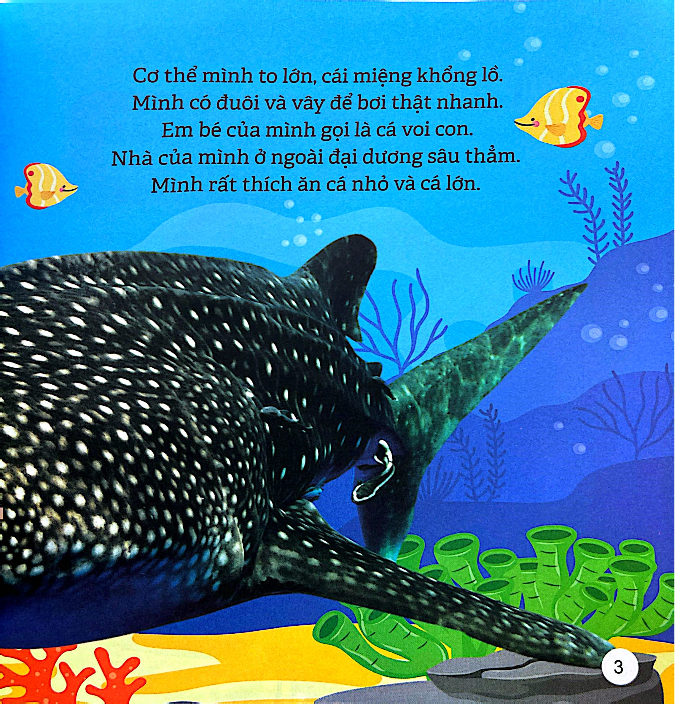 Kham Pha The Gioi Ky Dieu - The Gioi Dai Duong