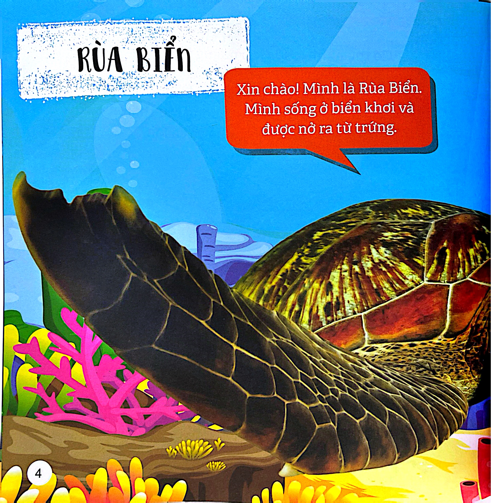 Kham Pha The Gioi Ky Dieu - The Gioi Dai Duong