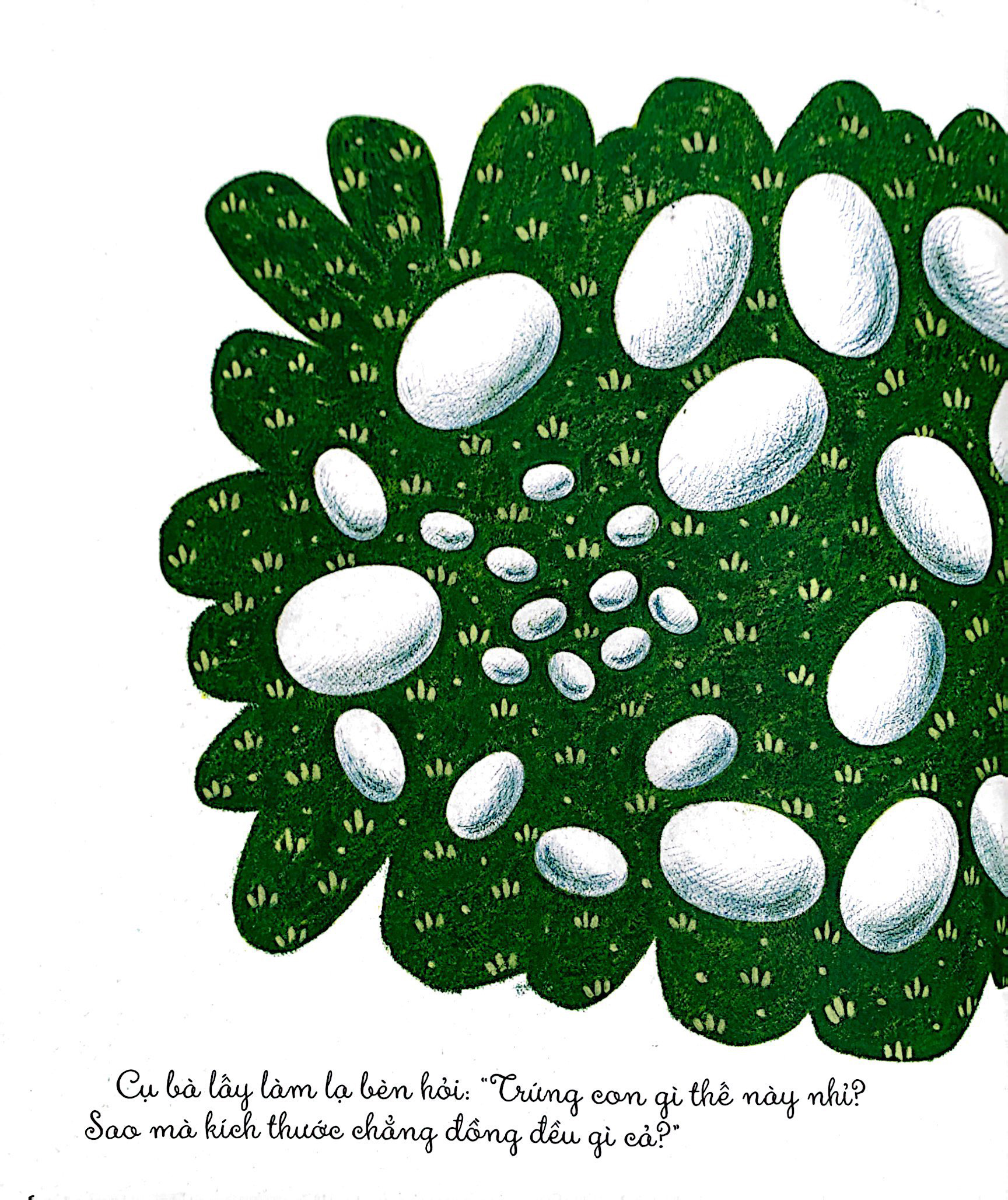 khám phá thế giới quanh em - luộc trứng hay rán trứng?