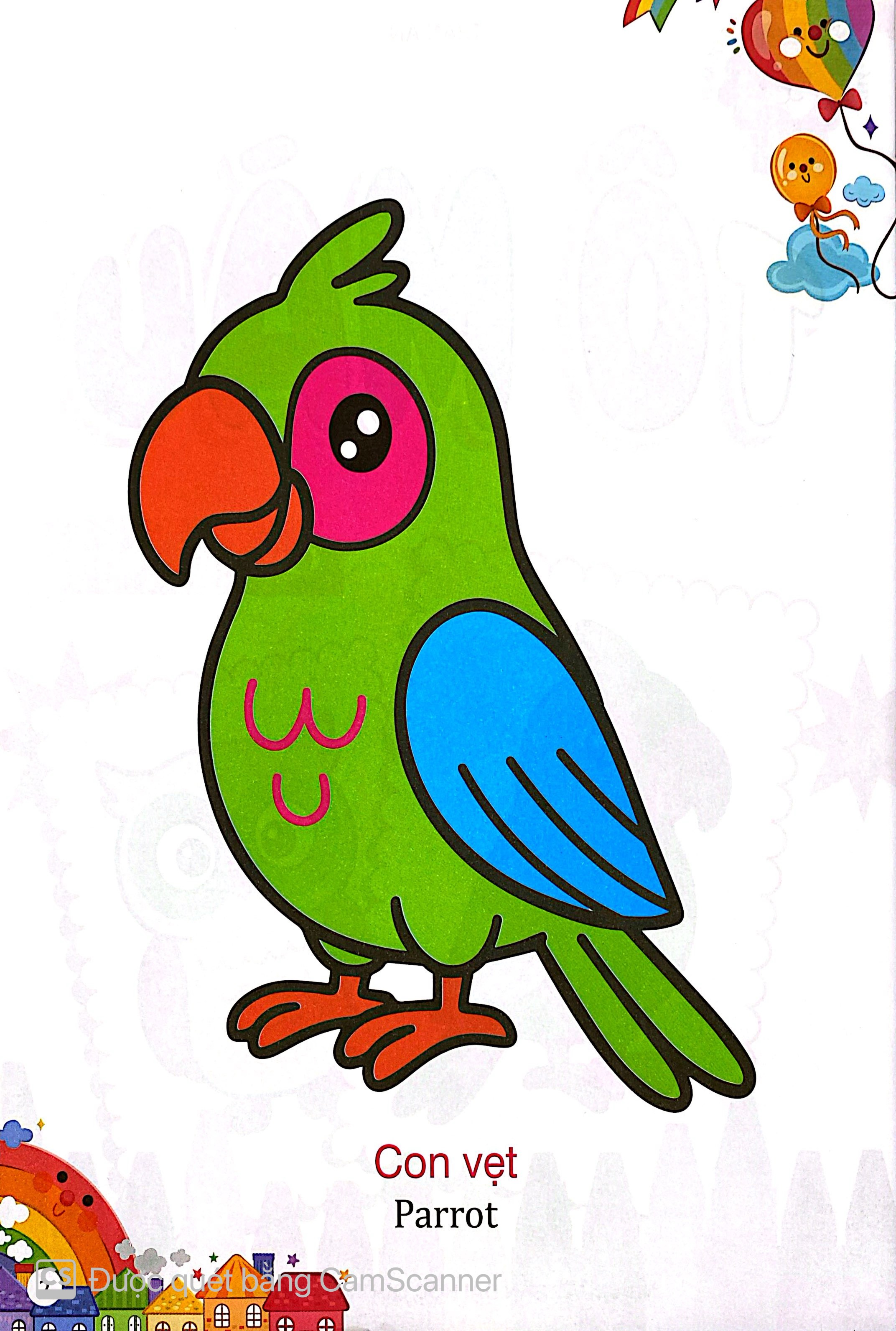 Kham Pha The Gioi Xung Quanh - To Mau Cac Loai Chim