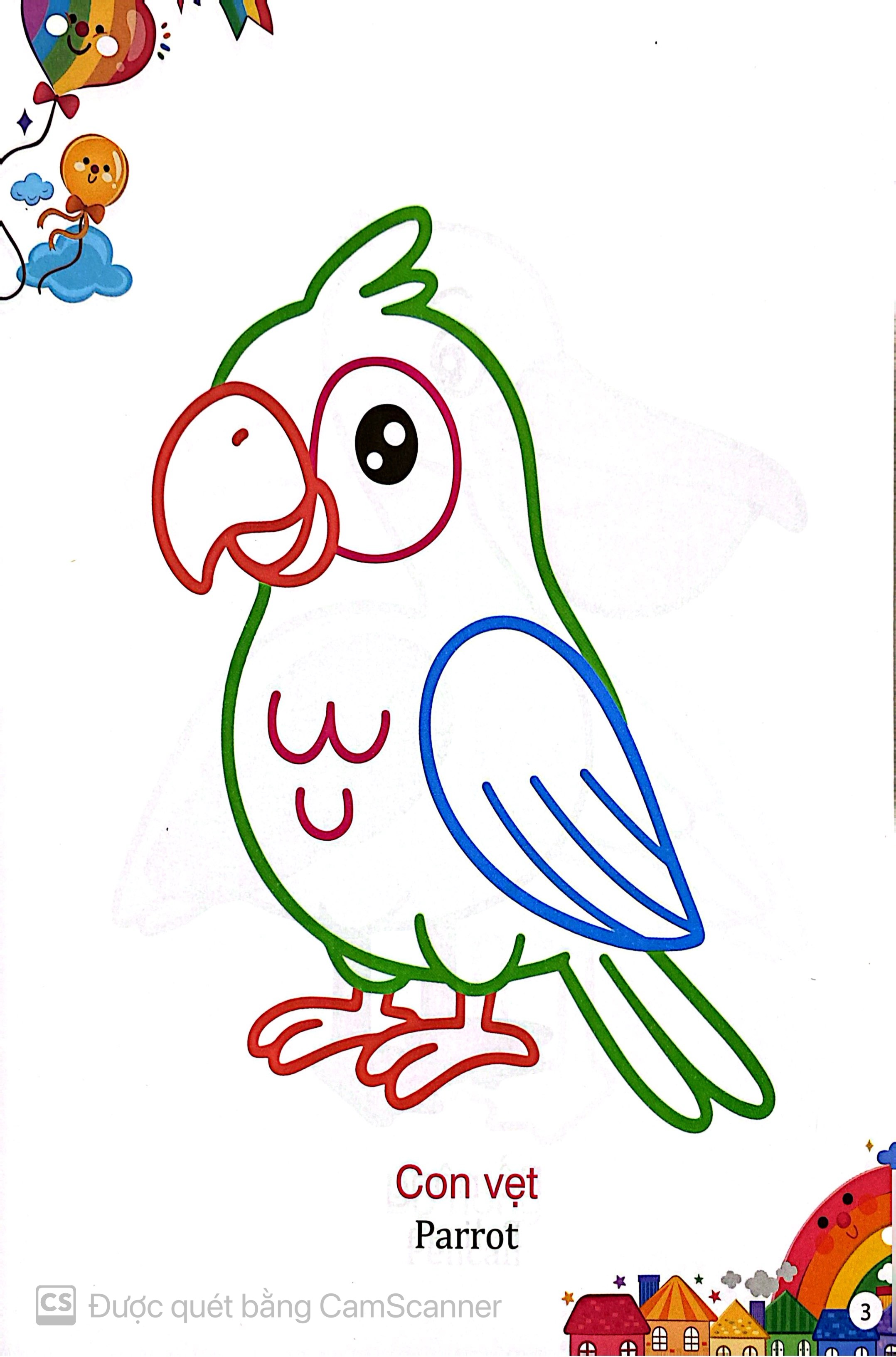 Kham Pha The Gioi Xung Quanh - To Mau Cac Loai Chim