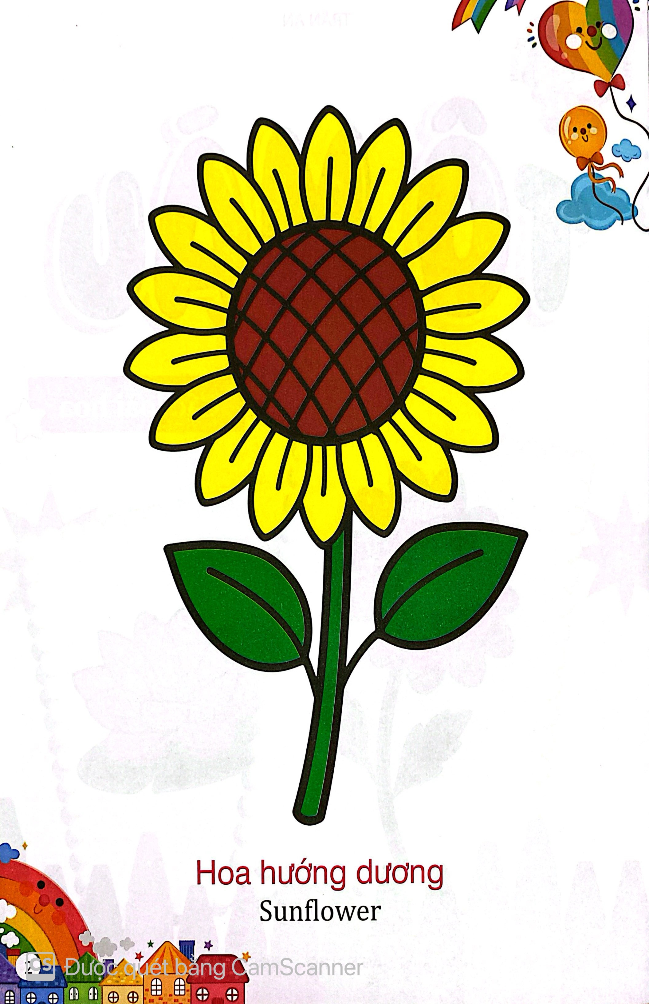 Kham Pha The Gioi Xung Quanh - To Mau Cac Loai Hoa