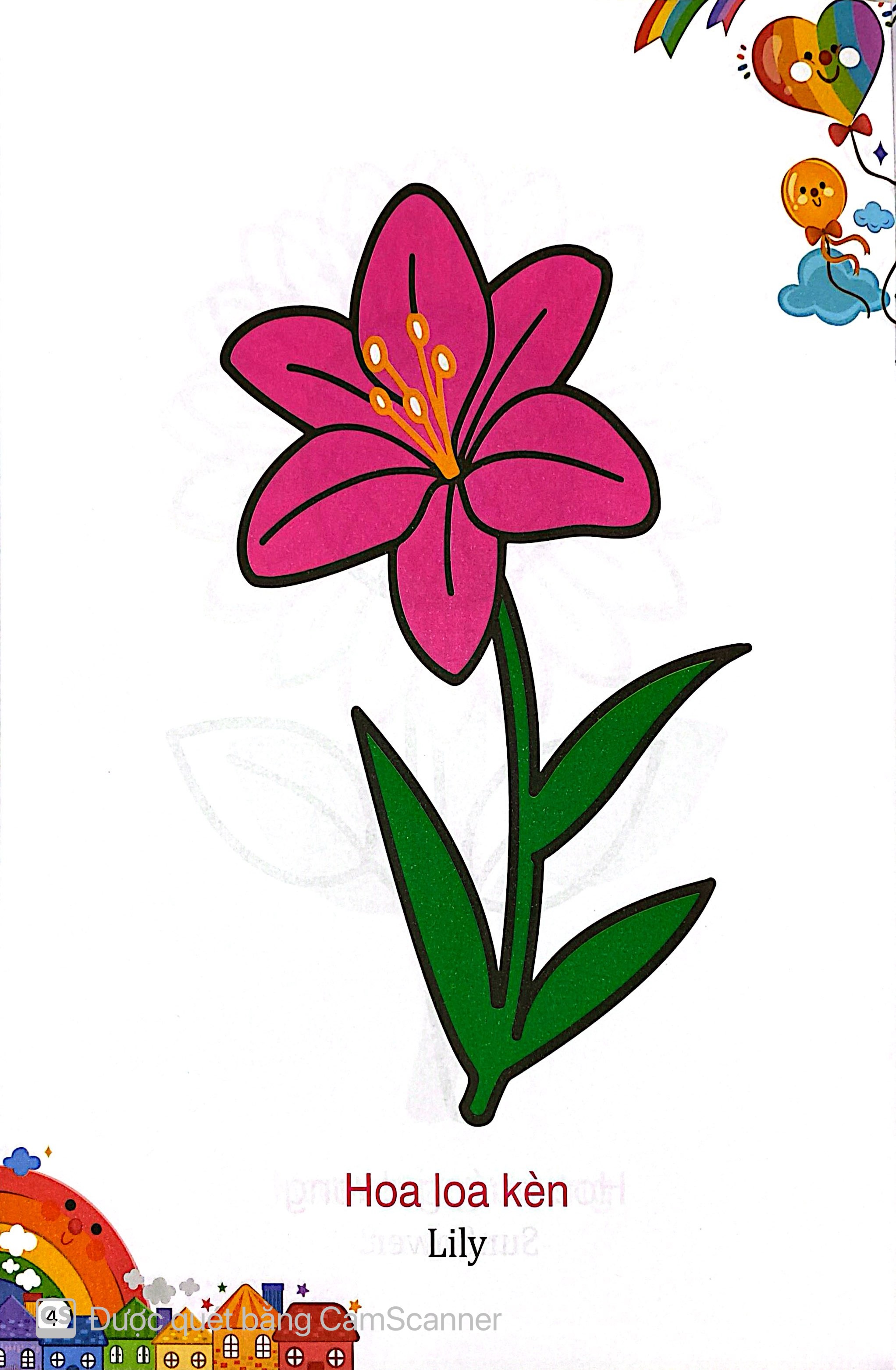 Kham Pha The Gioi Xung Quanh - To Mau Cac Loai Hoa