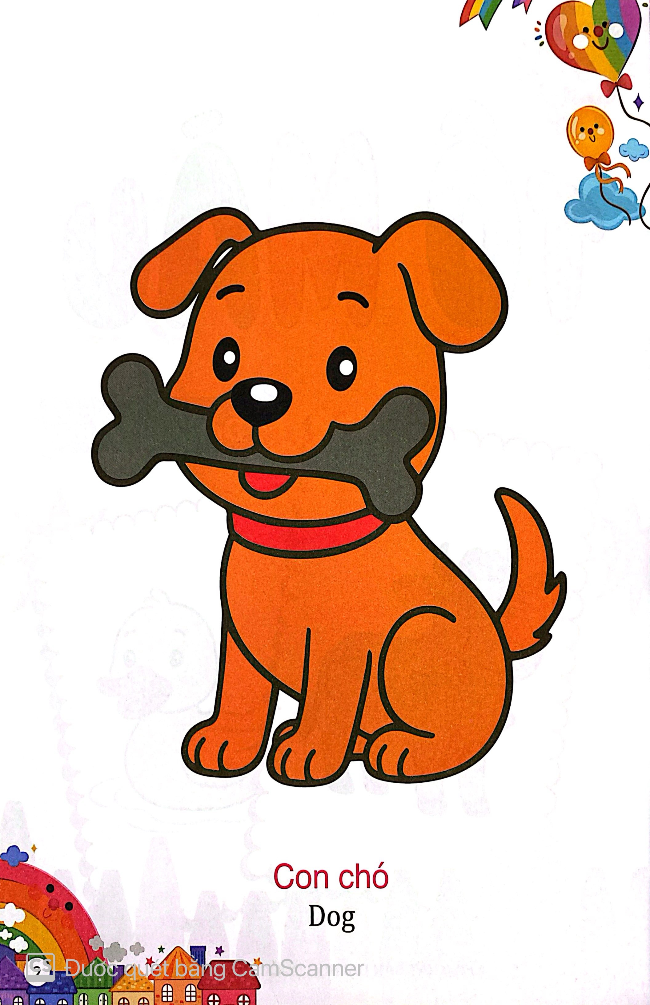 Kham Pha The Gioi Xung Quanh - To Mau Dong Vat Nuoi