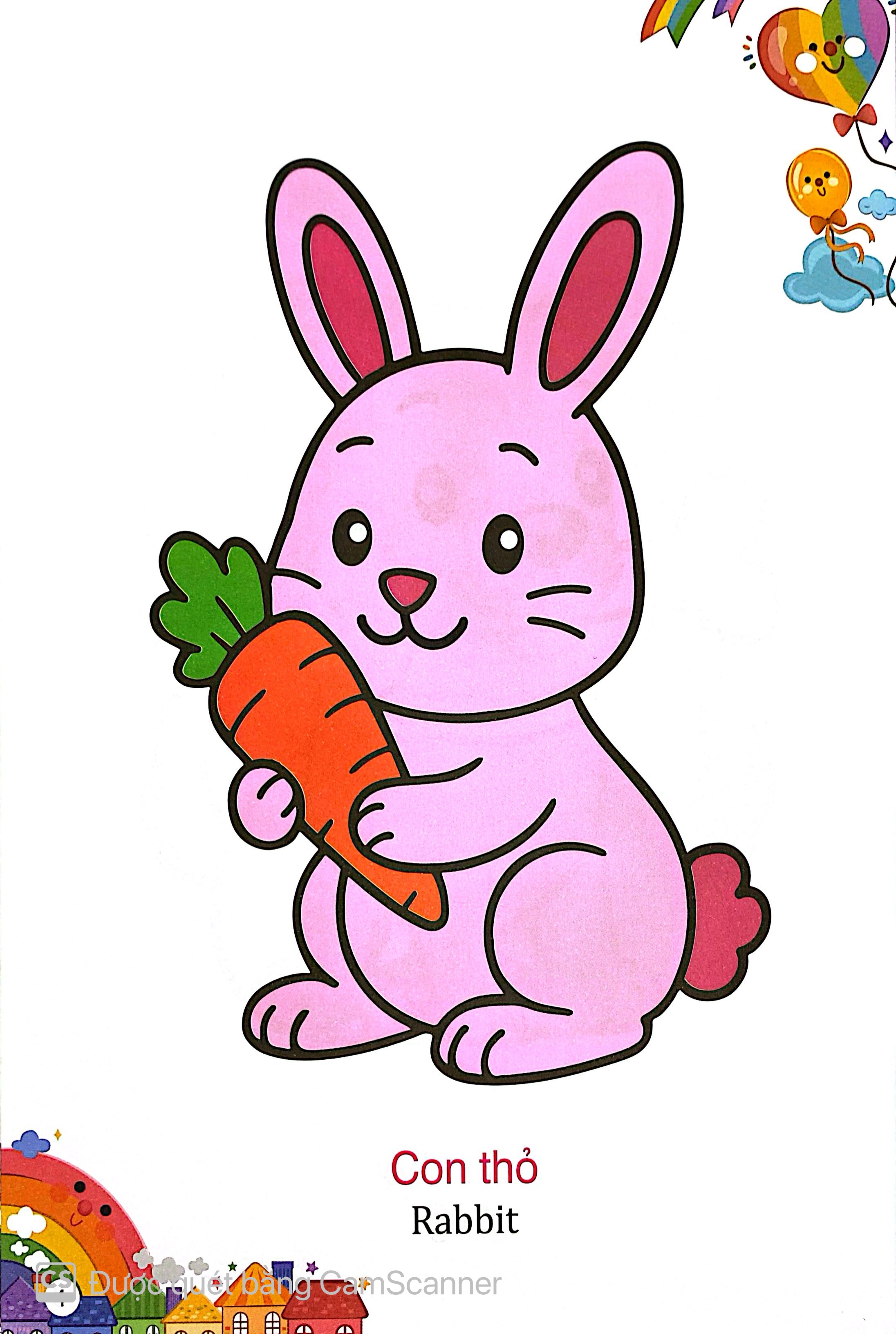 Kham Pha The Gioi Xung Quanh - To Mau Dong Vat Nuoi