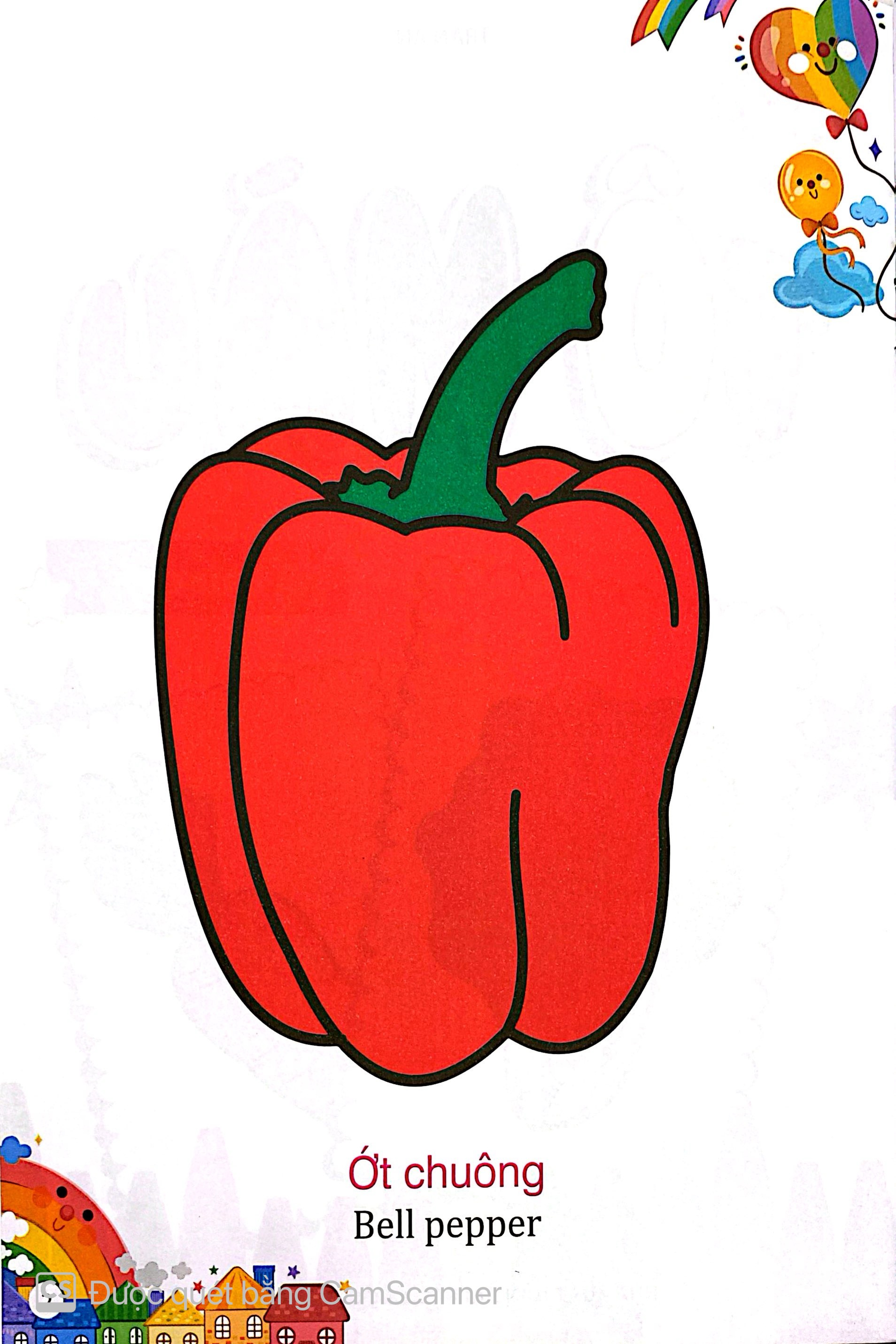 Kham Pha The Gioi Xung Quanh - To Mau Rau Cu