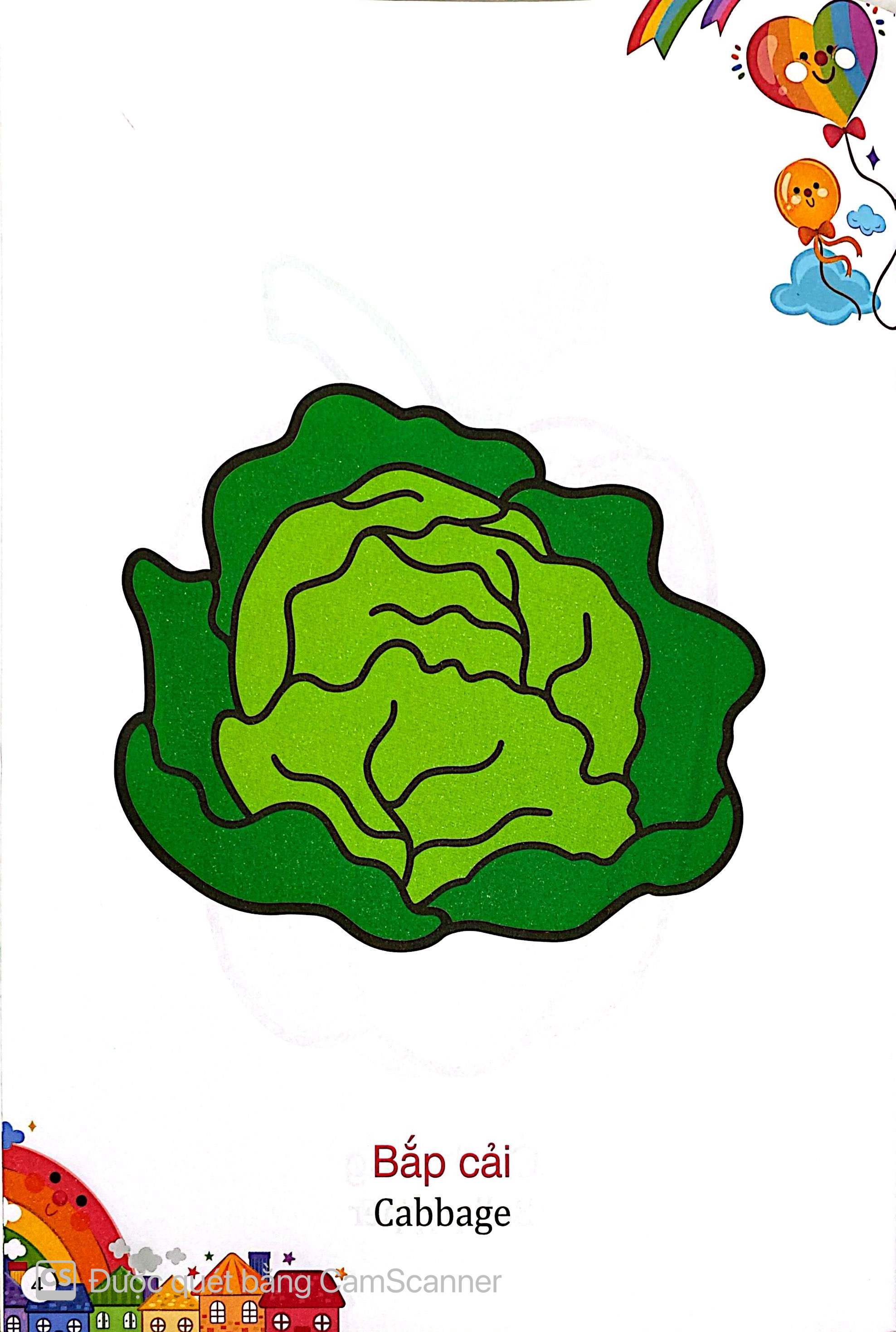 Kham Pha The Gioi Xung Quanh - To Mau Rau Cu