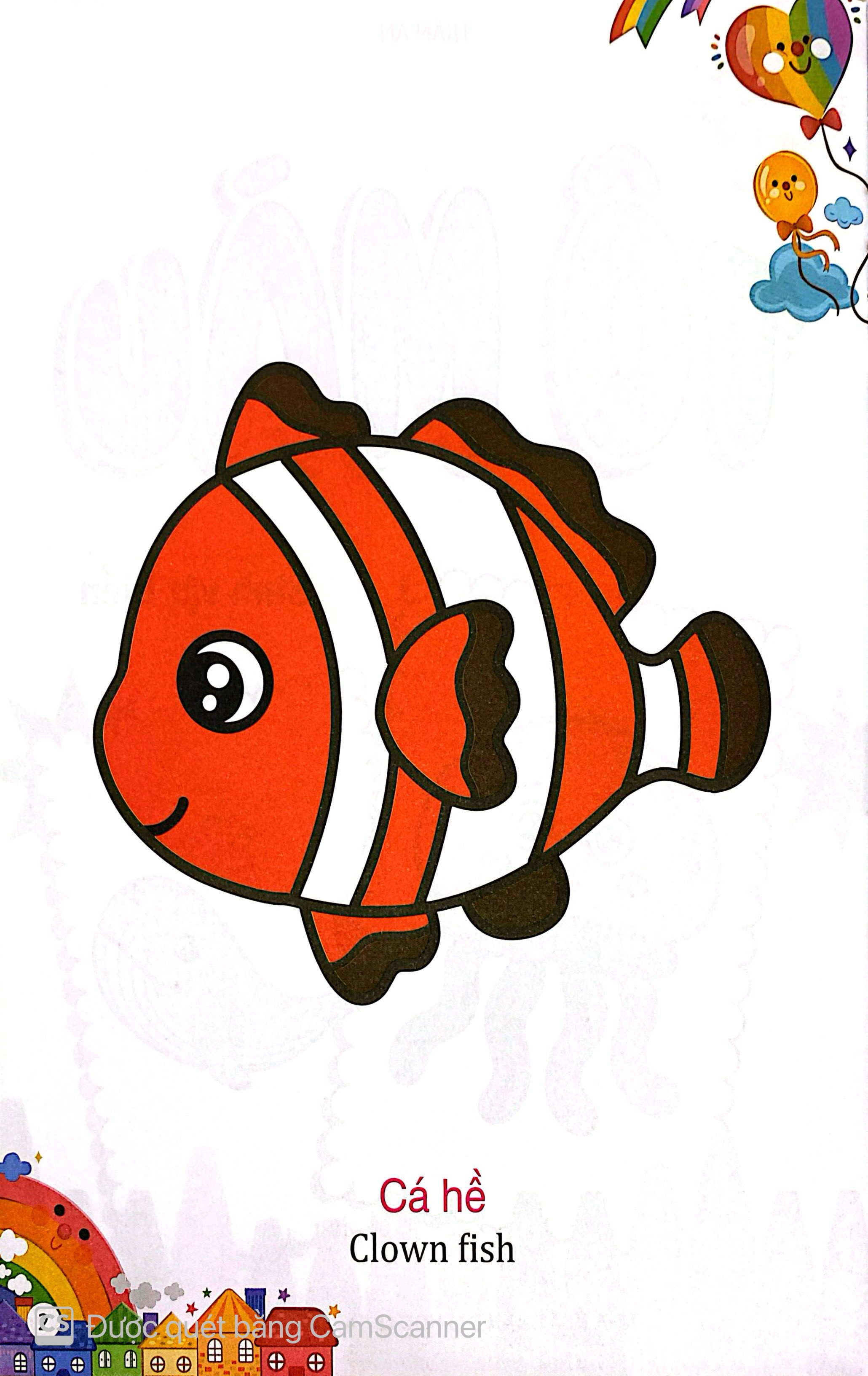 Kham Pha The Gioi Xung Quanh - To Mau Sinh Vat Bien