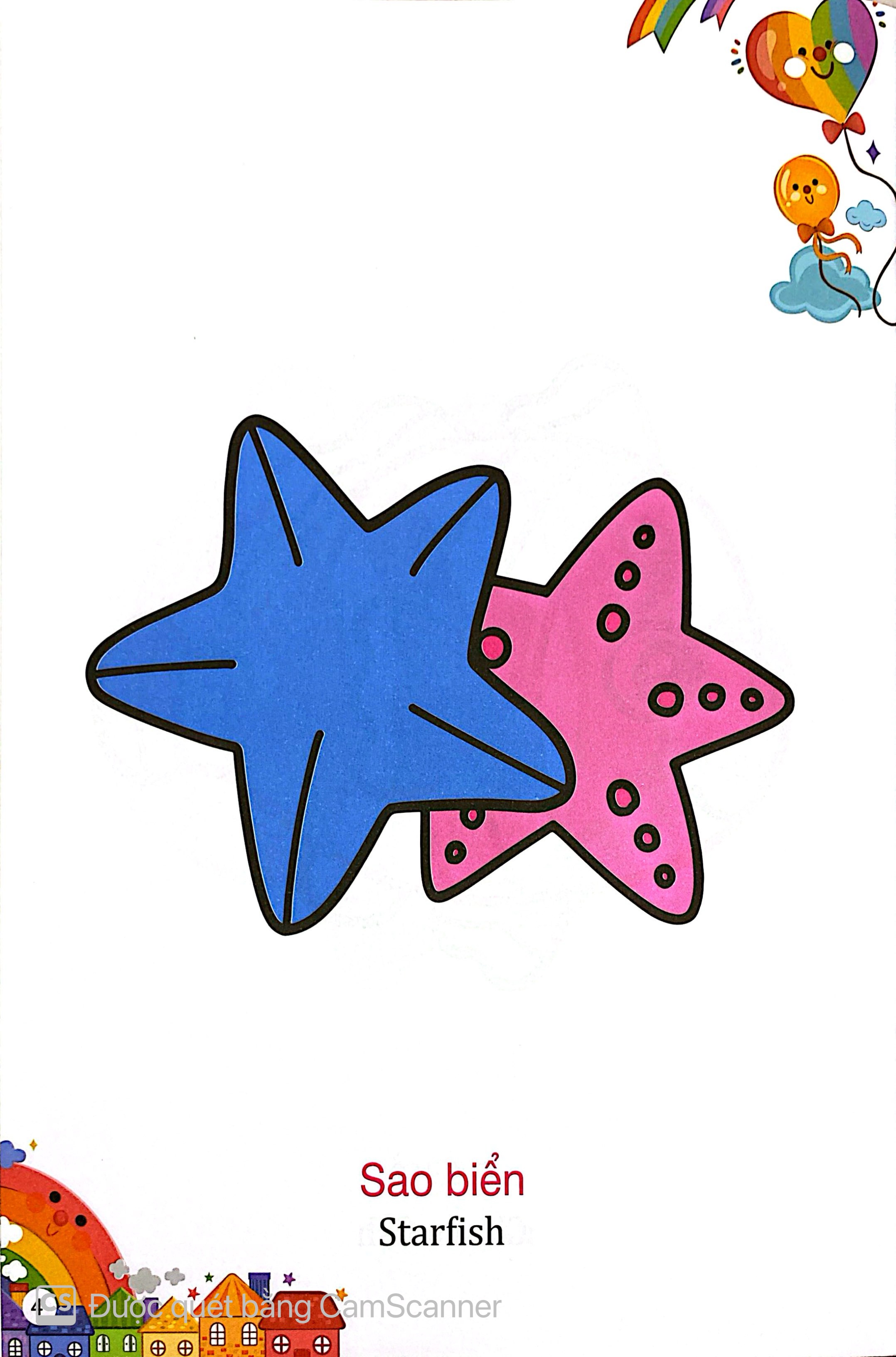 Kham Pha The Gioi Xung Quanh - To Mau Sinh Vat Bien