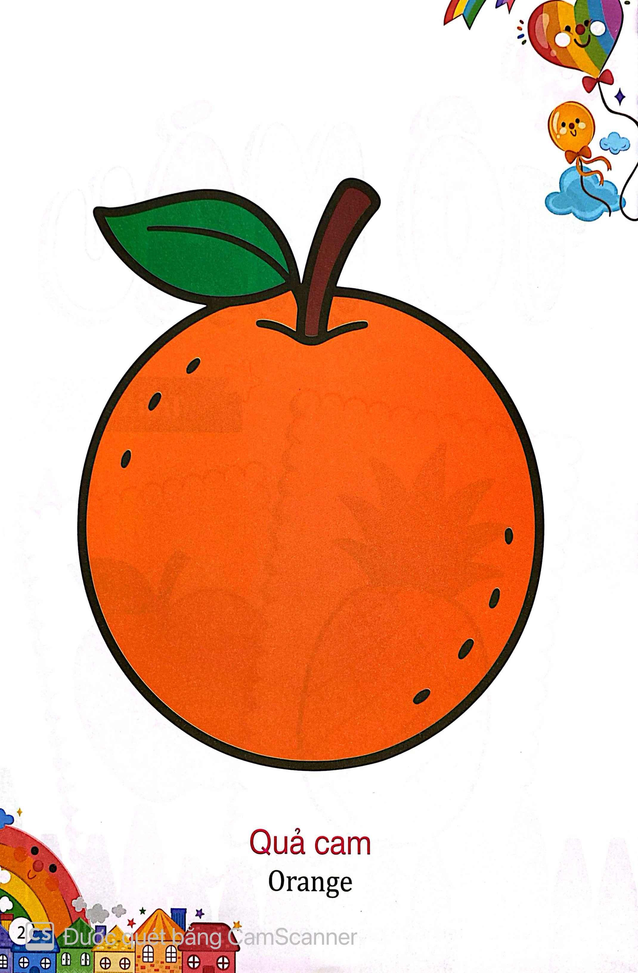 Kham Pha The Gioi Xung Quanh - To Mau Trai Cay