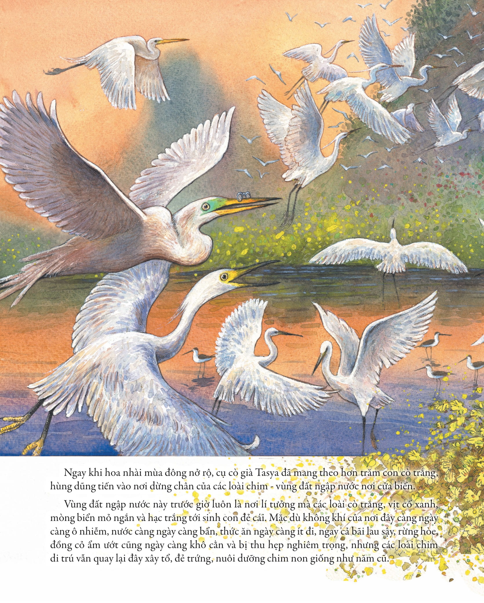 khẽ chạm vào tự nhiên - những quả trứng kì lạ