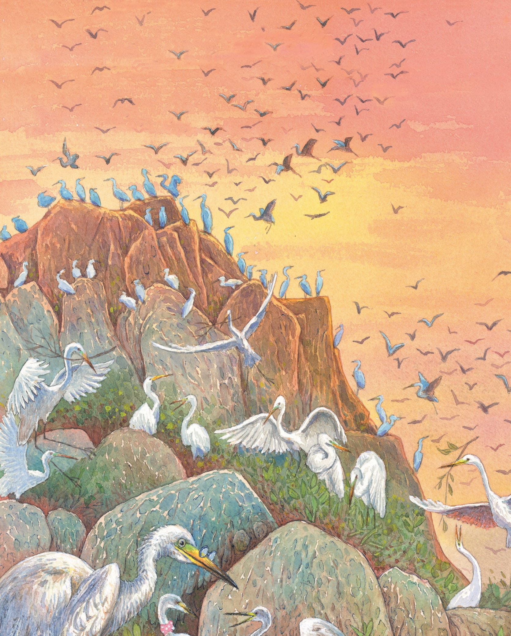 khẽ chạm vào tự nhiên - những quả trứng kì lạ