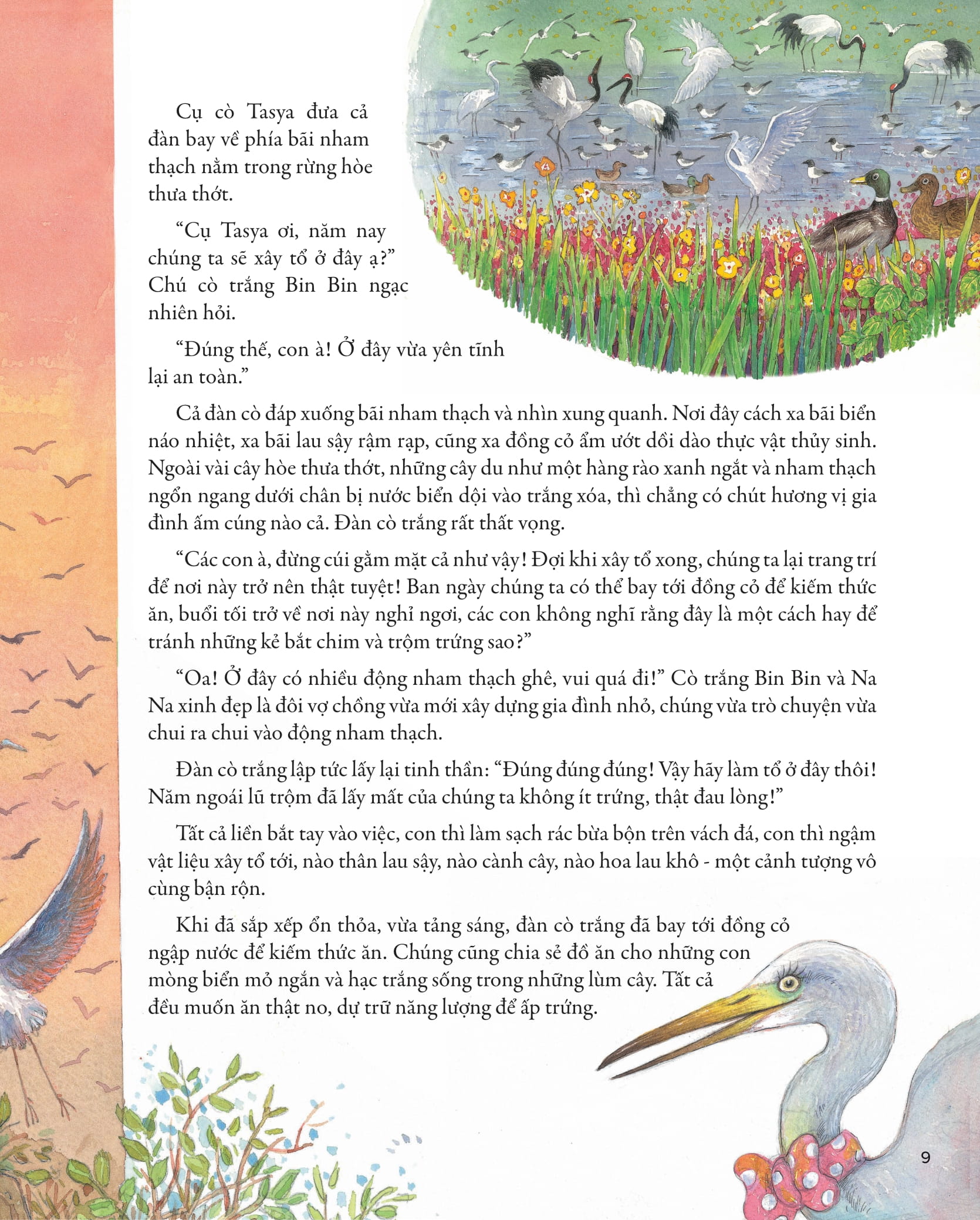 khẽ chạm vào tự nhiên - những quả trứng kì lạ