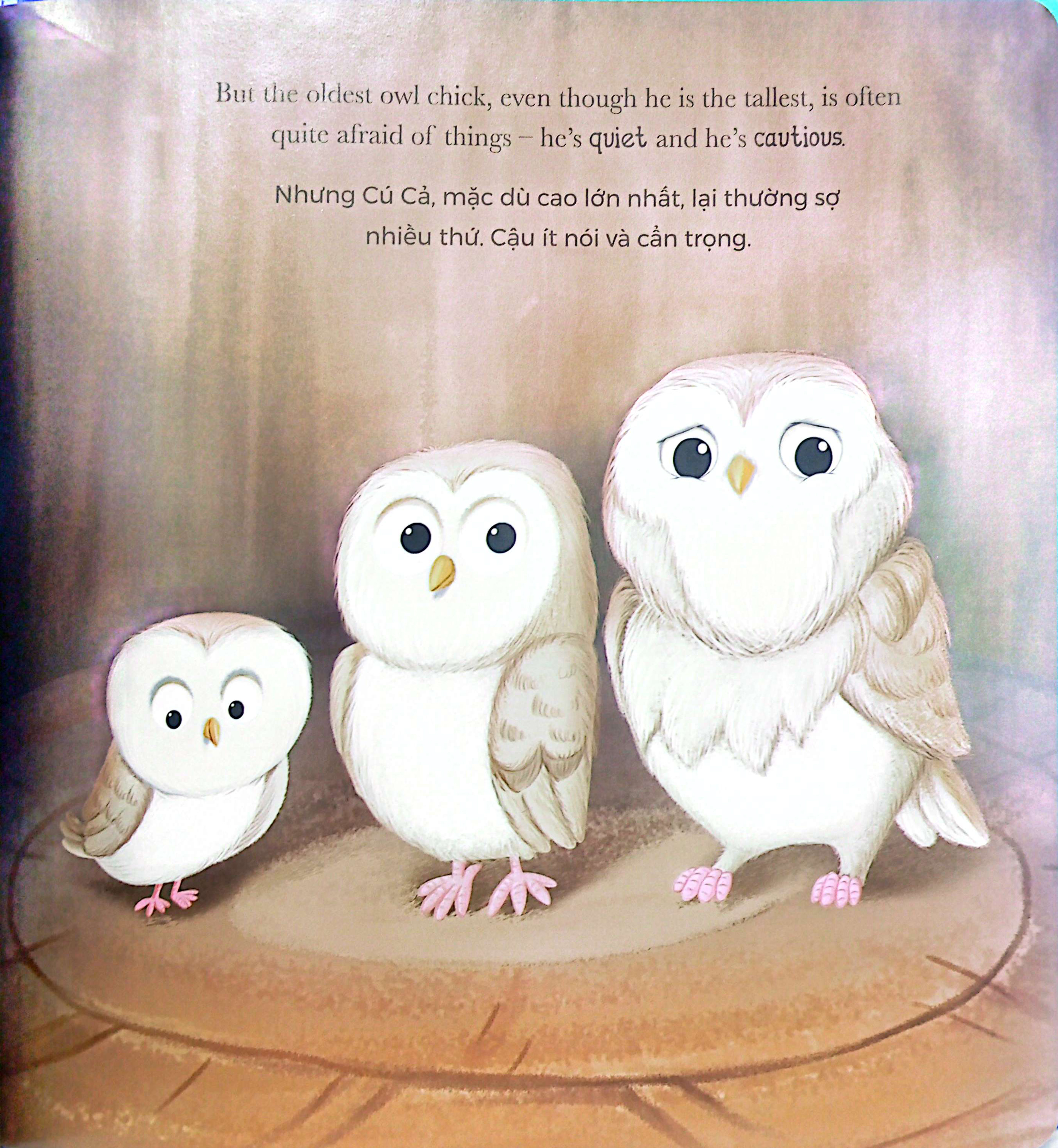 khi cú con sợ hãi - when owl feels scared (song ngữ anh-việt)