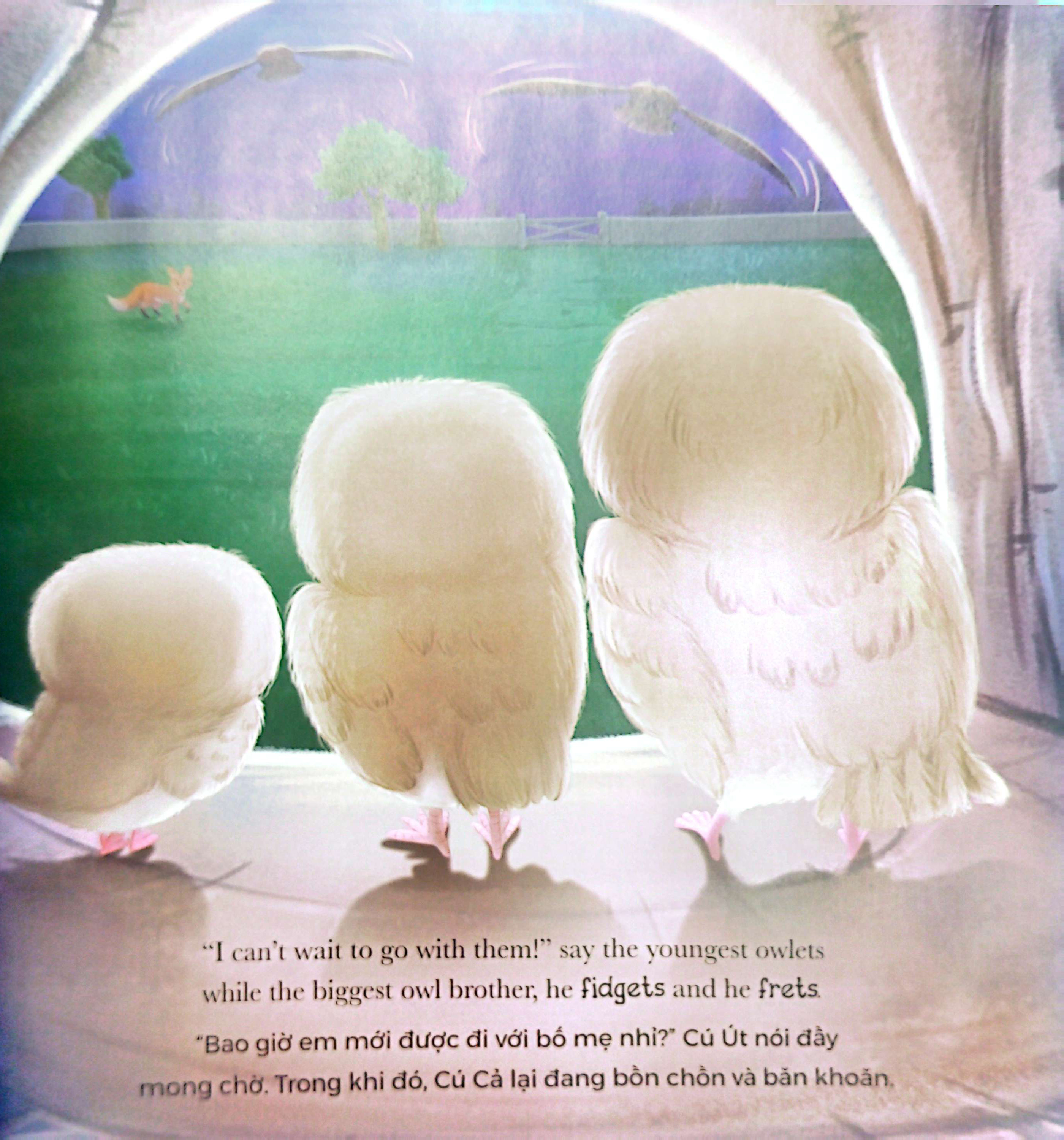 khi cú con sợ hãi - when owl feels scared (song ngữ anh-việt)