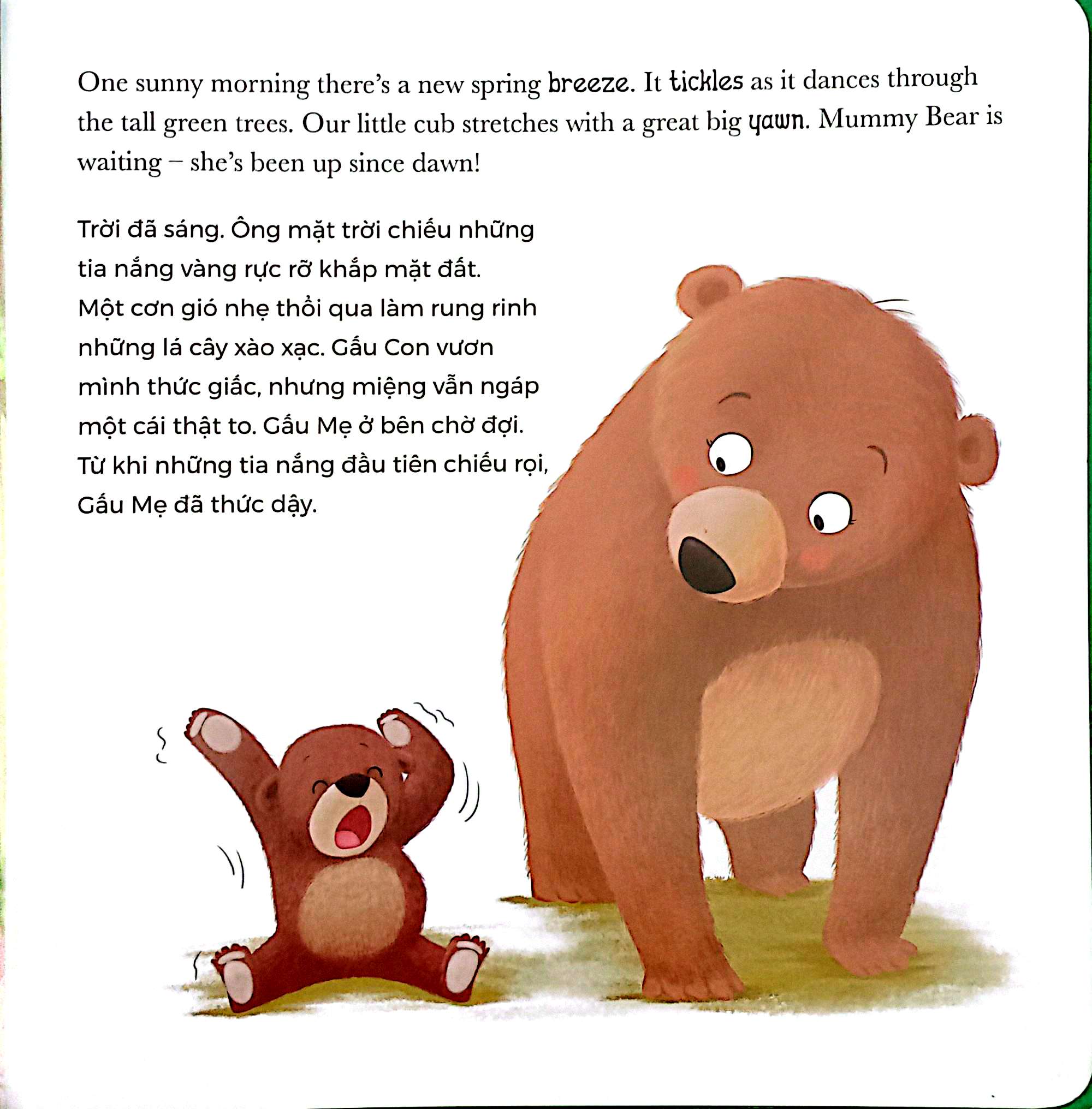 khi gấu con lo lắng - when bear feel worried (song ngữ anh-việt)