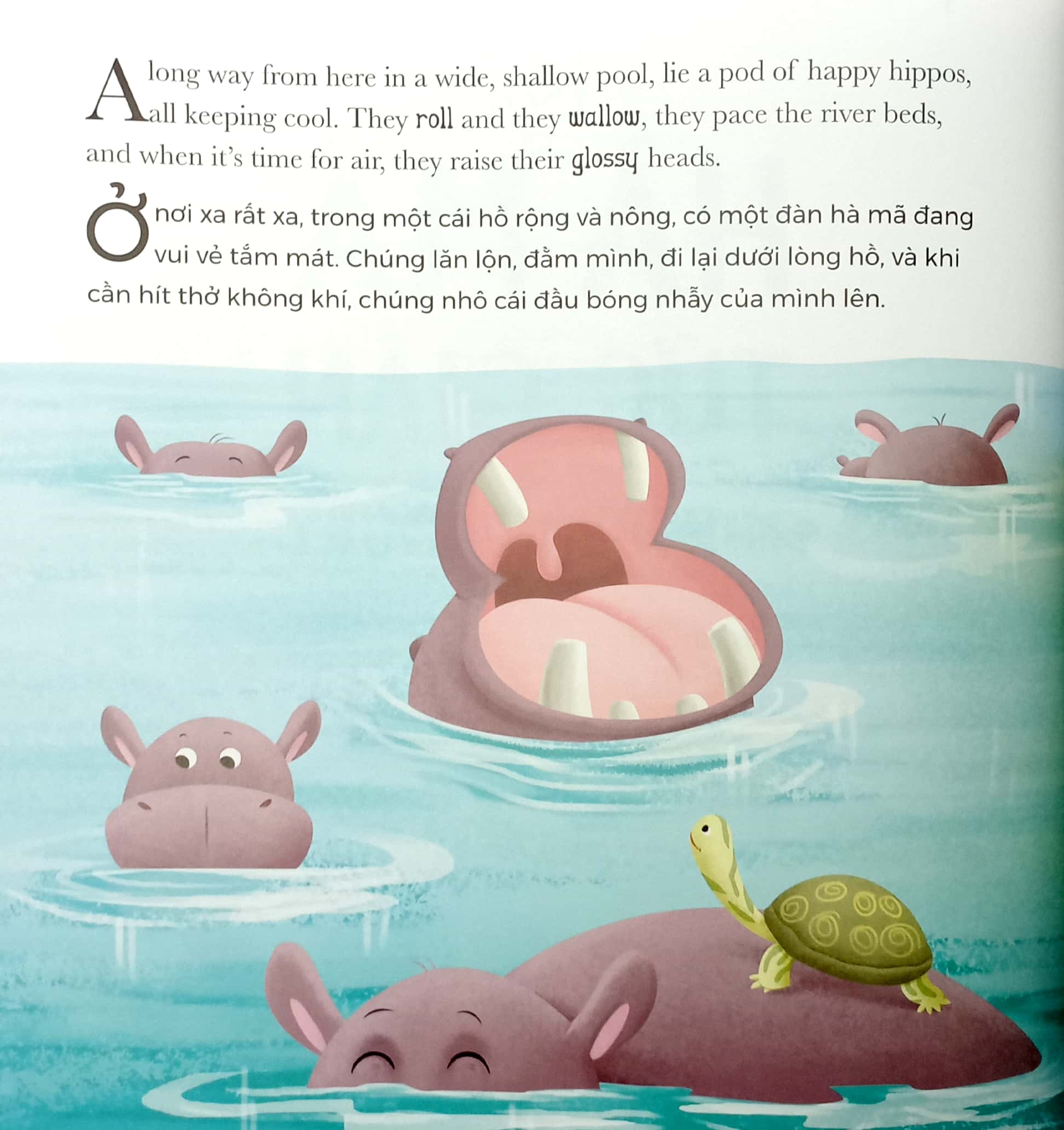 khi hà mã tức giận - when hippo gets angry (song ngữ anh-việt)