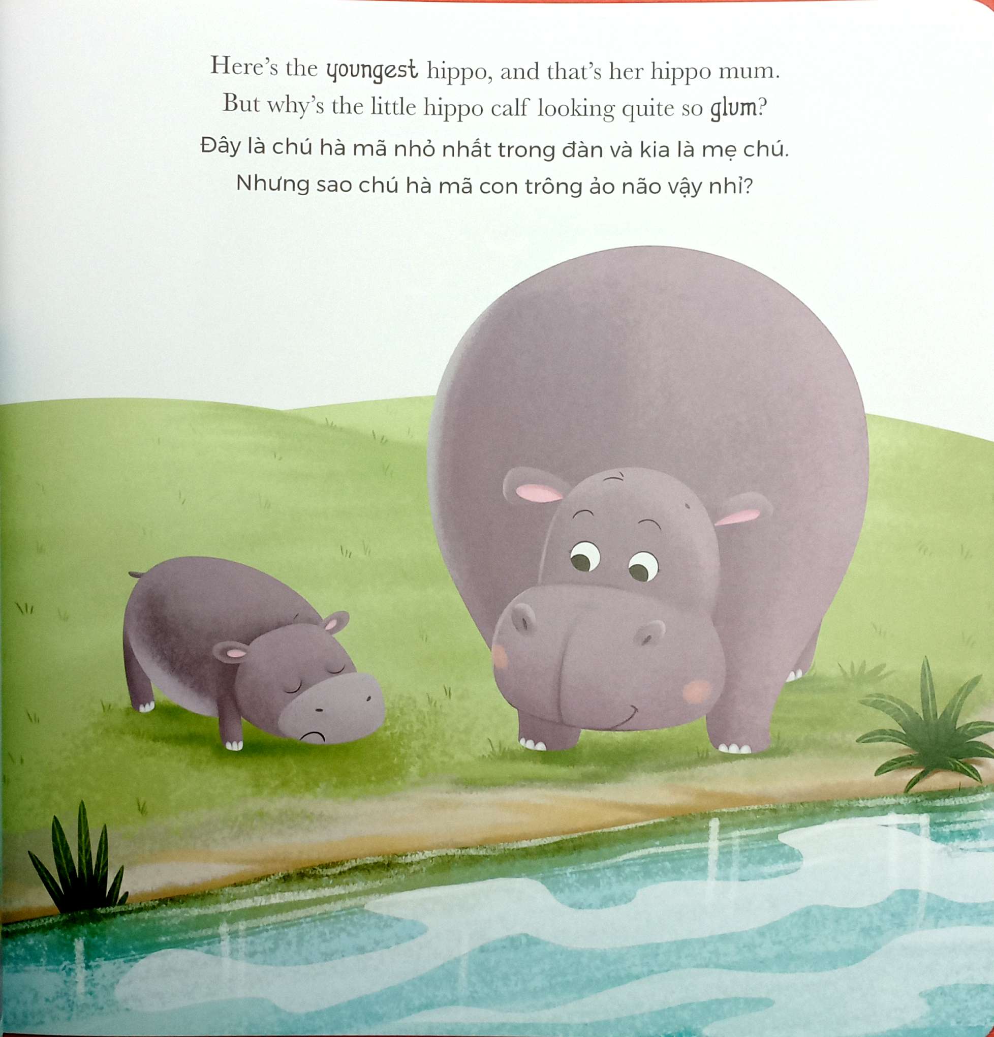 khi hà mã tức giận - when hippo gets angry (song ngữ anh-việt)