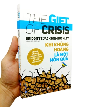 khi khủng hoảng là một món quà - the gift of crisis