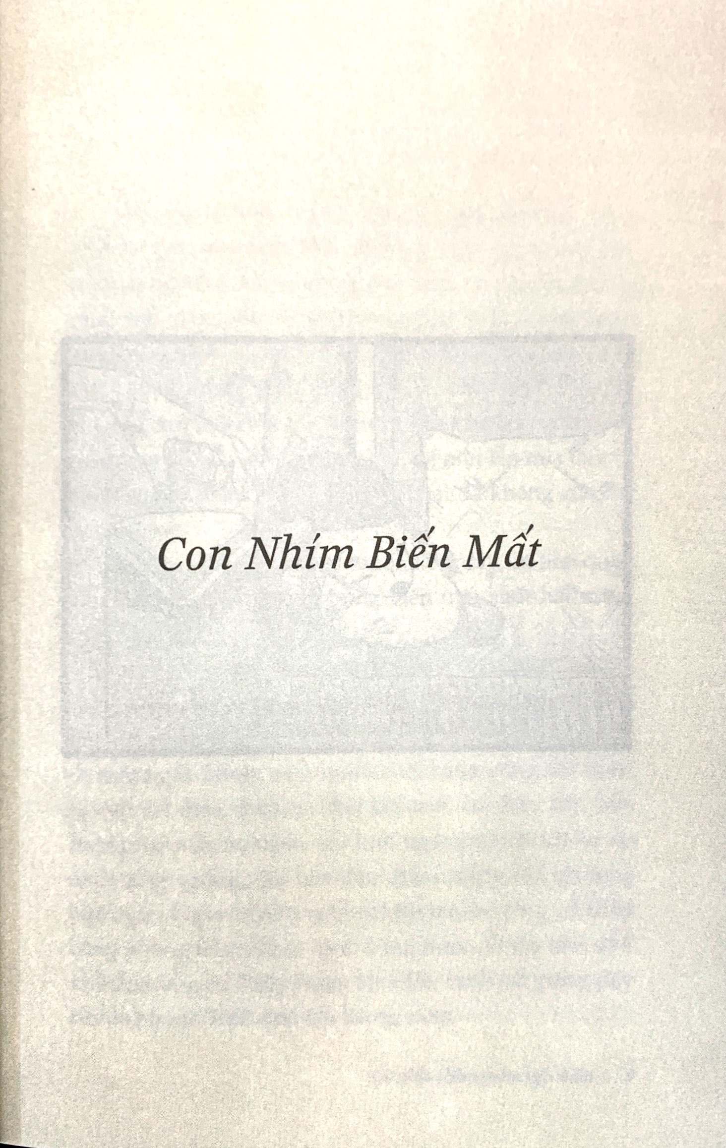 khi nhìn chằm chằm vực thẳm