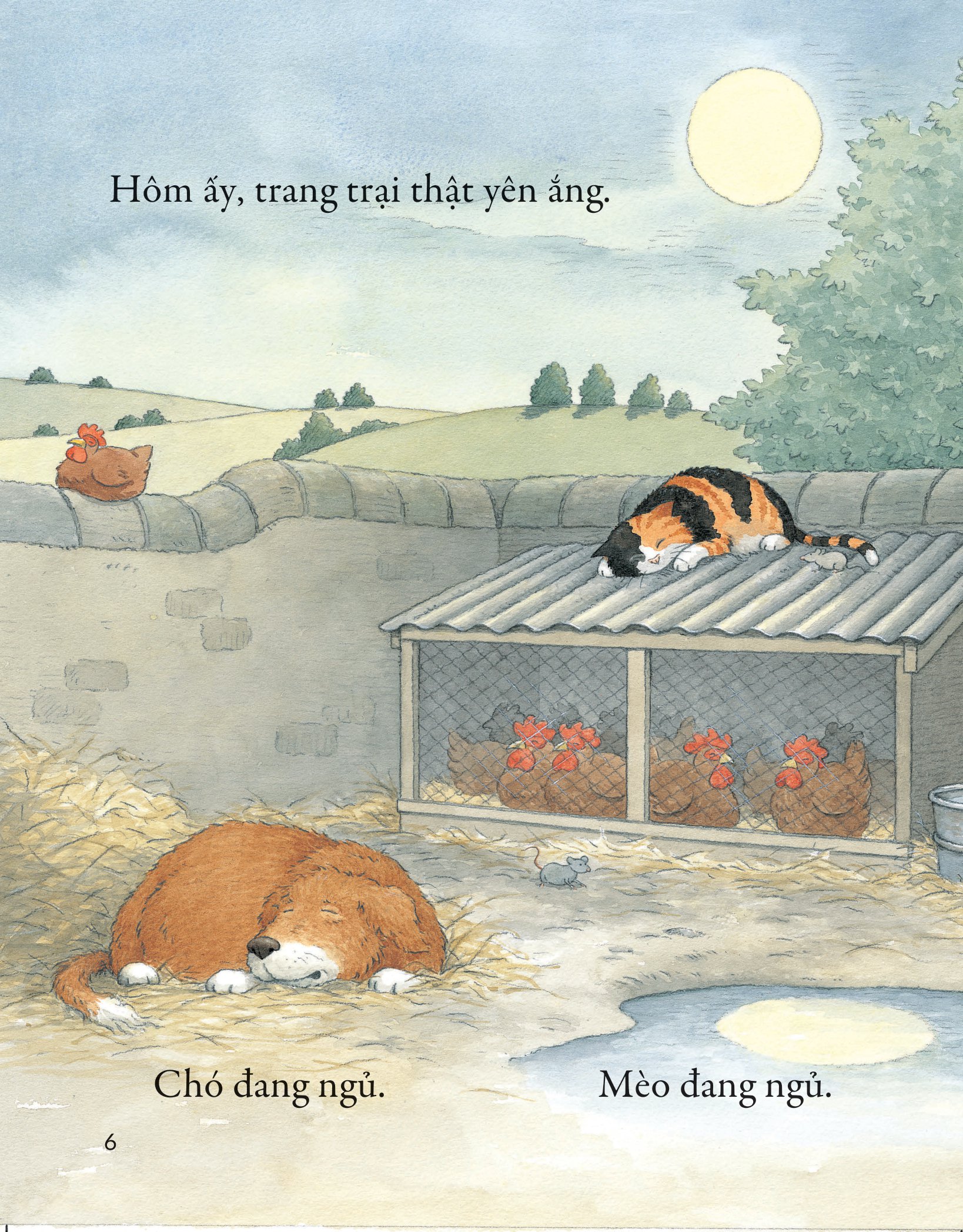 khò khò khò! ai ngáy to thế nhỉ?