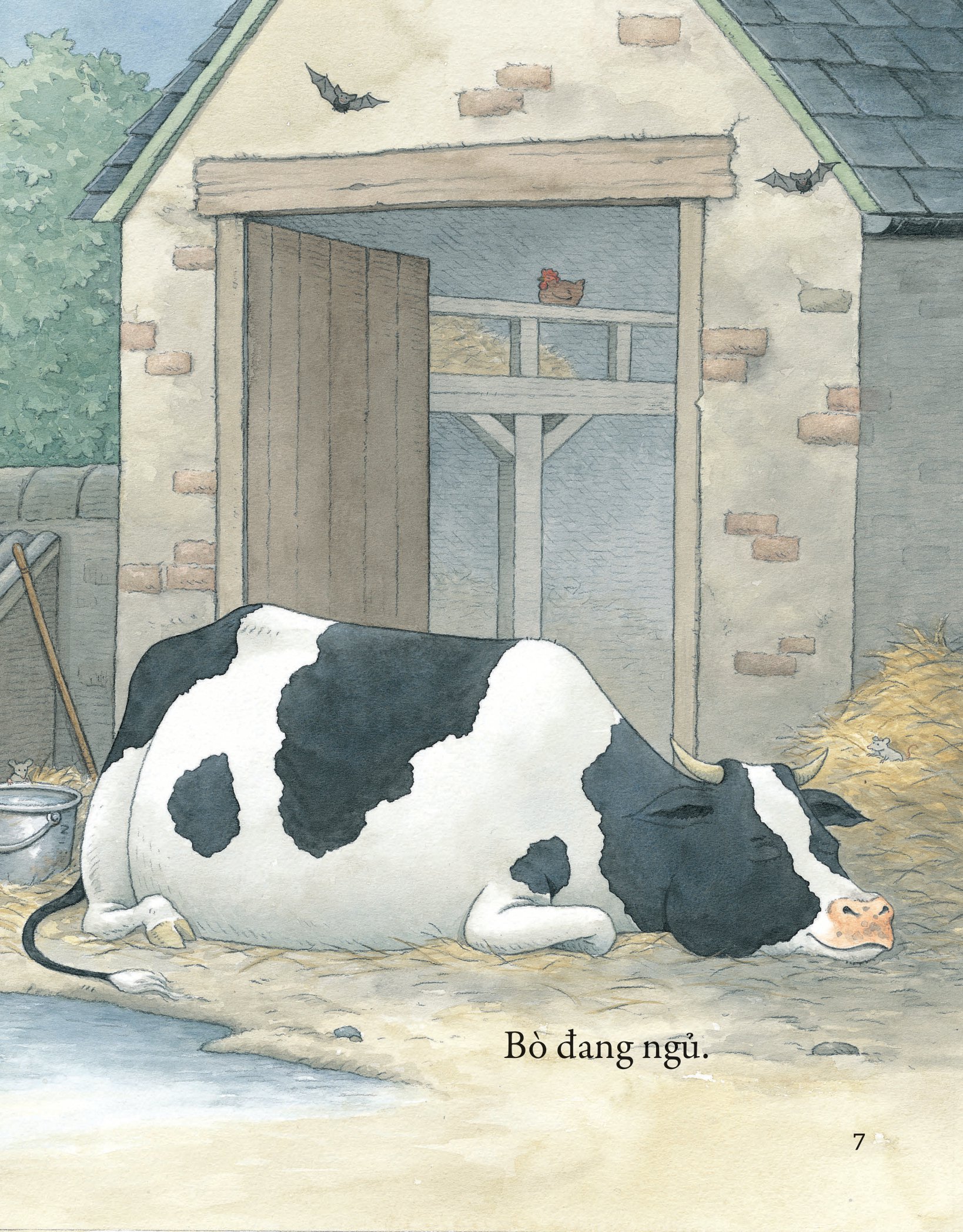 khò khò khò! ai ngáy to thế nhỉ?