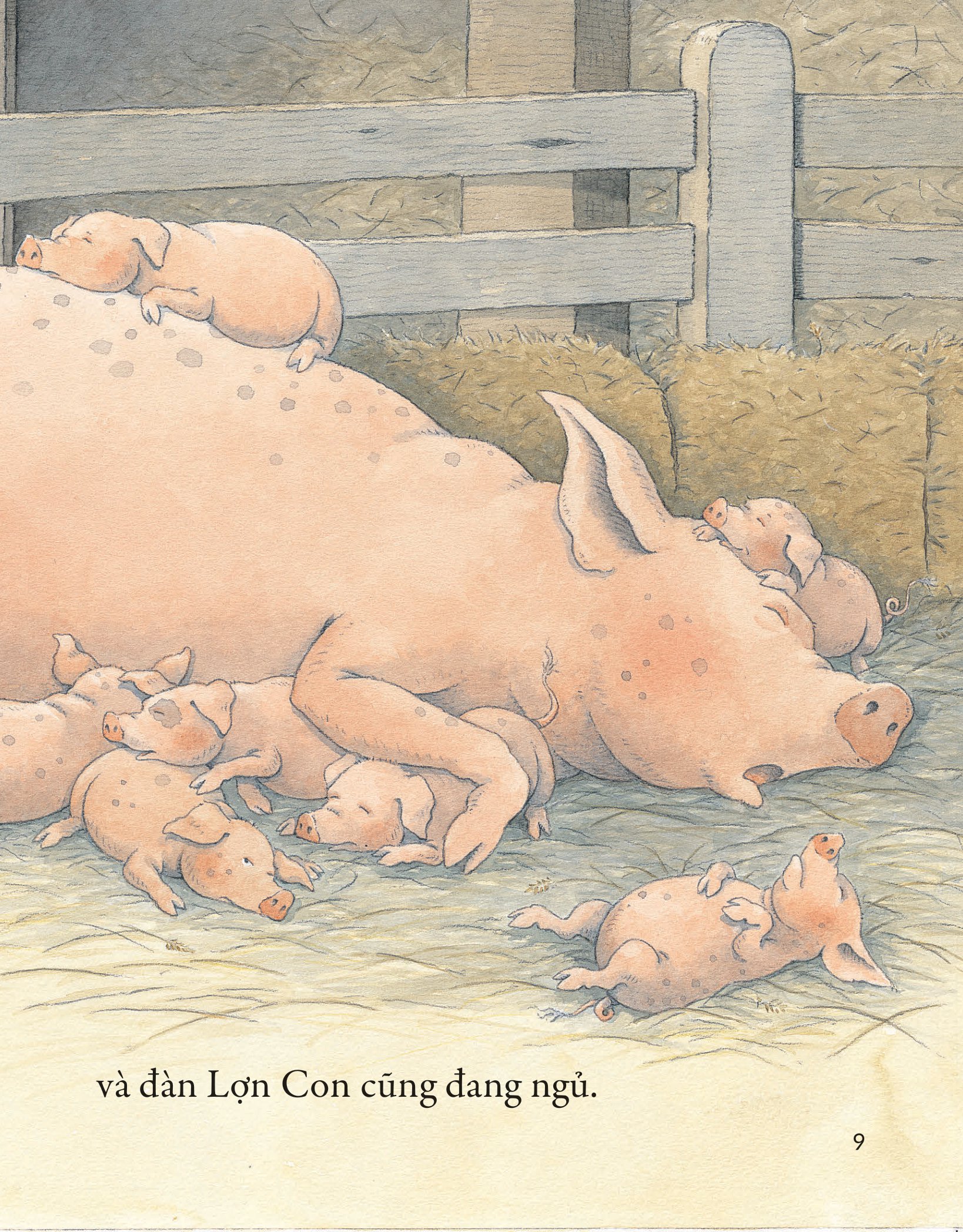 khò khò khò! ai ngáy to thế nhỉ?