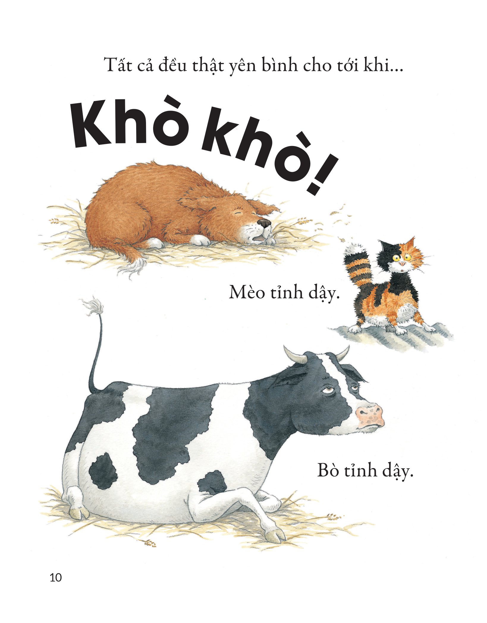 khò khò khò! ai ngáy to thế nhỉ?