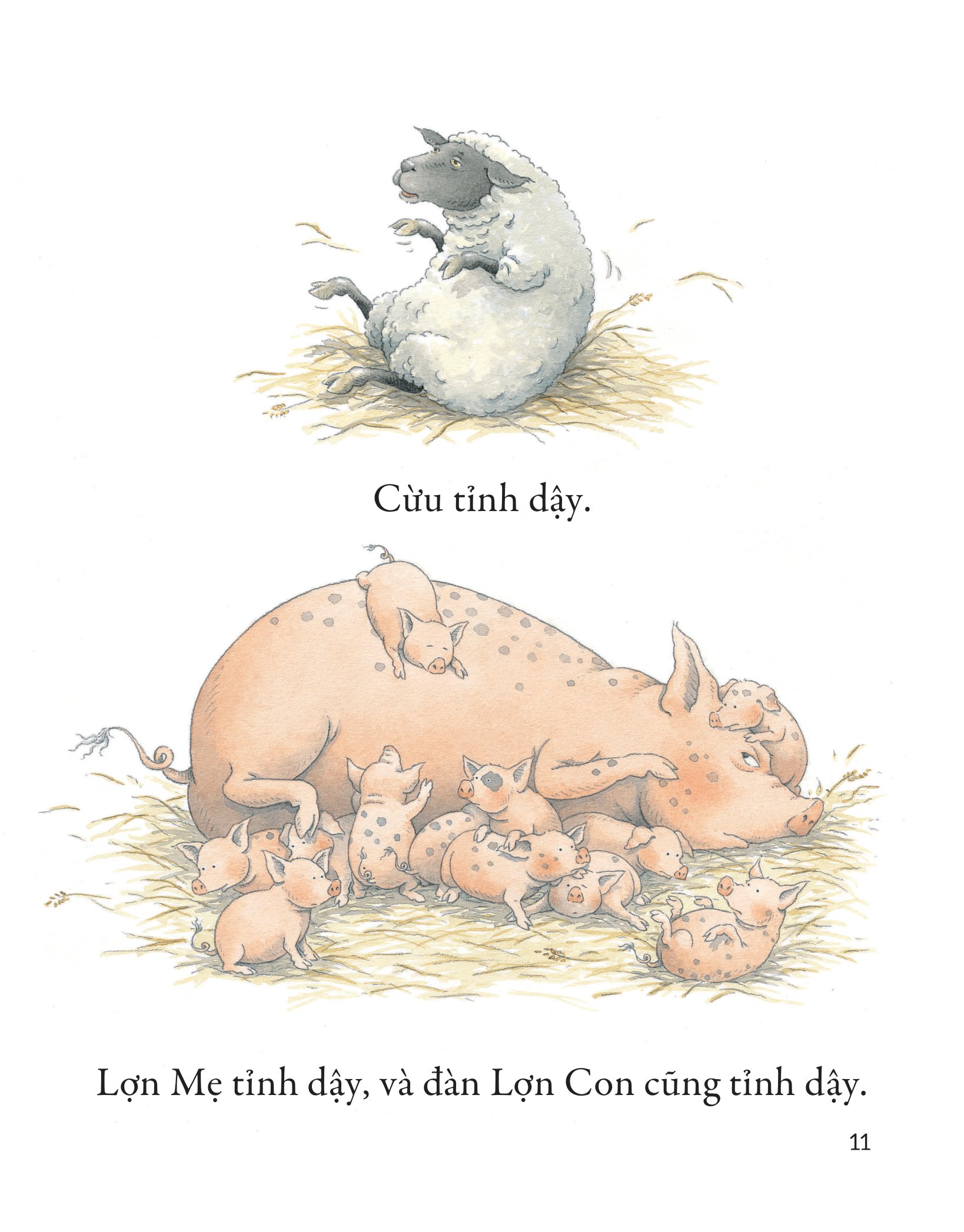 khò khò khò! ai ngáy to thế nhỉ?