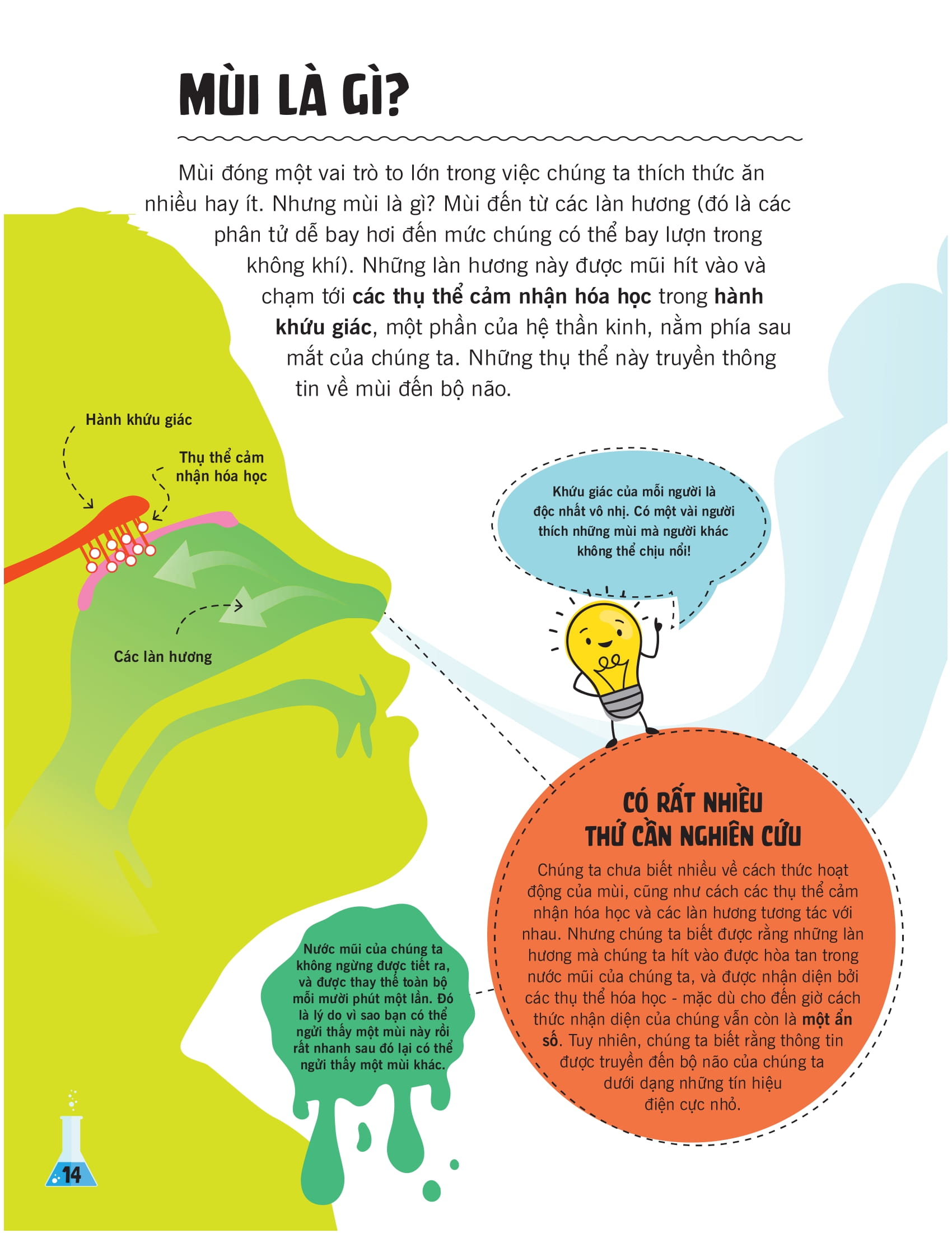 khoa học ăn được không?