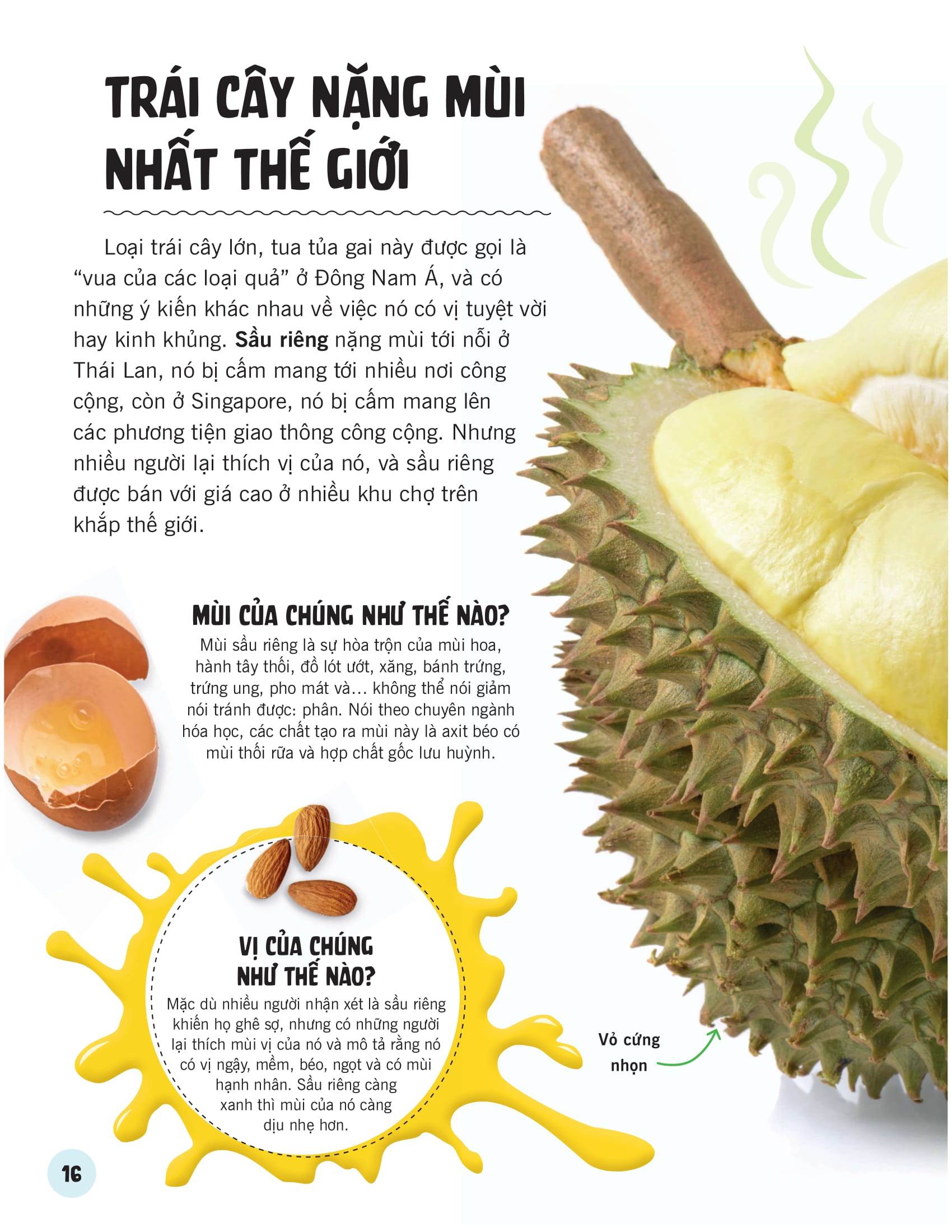 khoa học ăn được không?