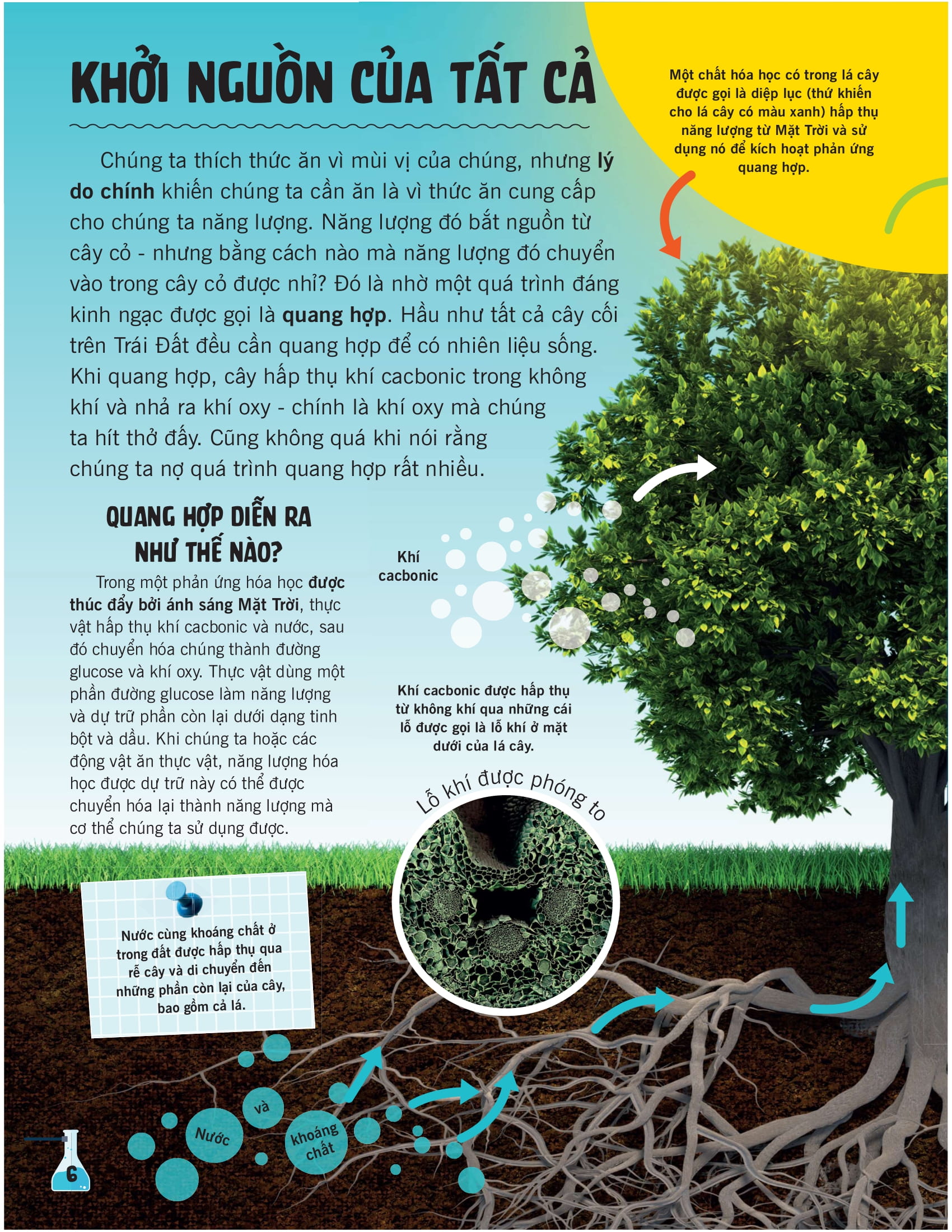 khoa học ăn được không?