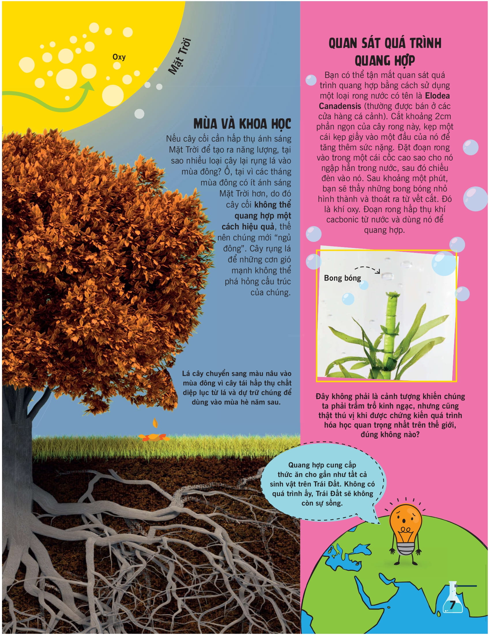 khoa học ăn được không?