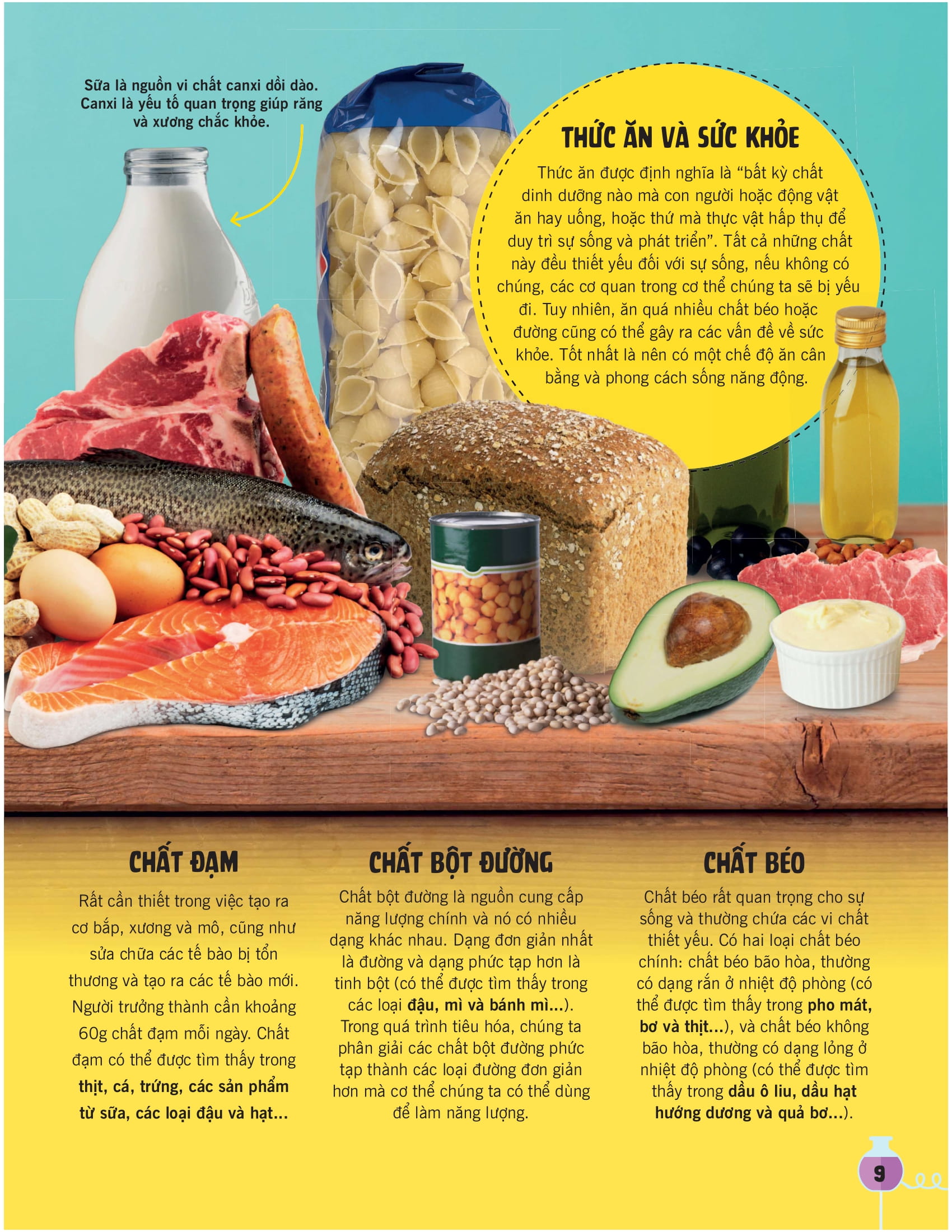 khoa học ăn được không?