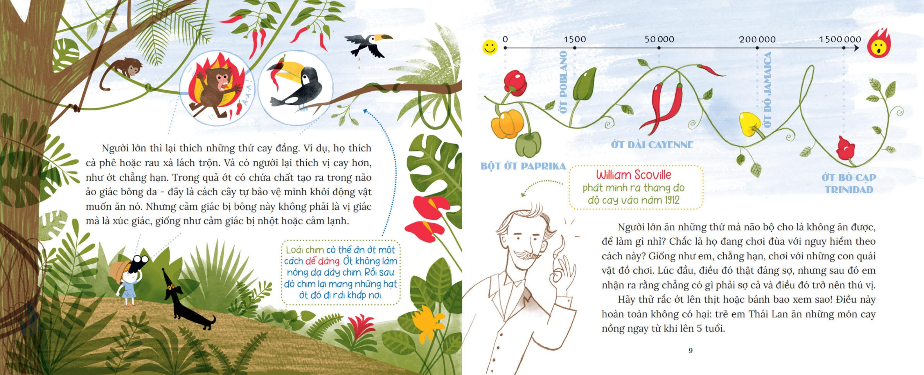 khoa học bỏ túi - làm thế nào để nhét lê vào não?