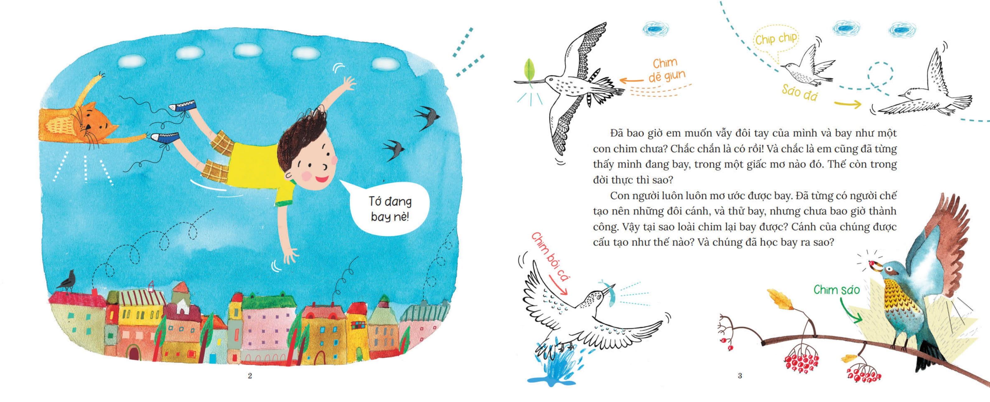 khoa học bỏ túi - tại sao chim bay không rơi?