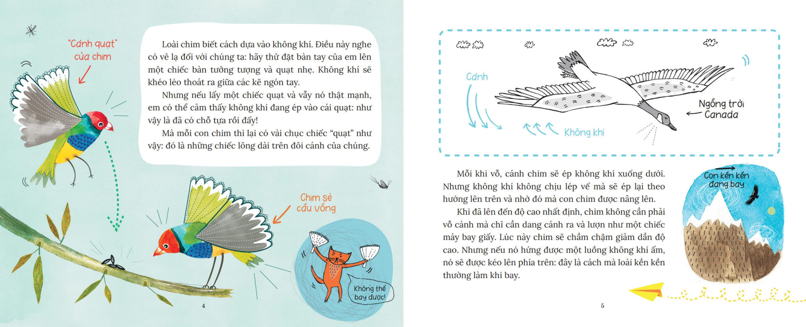 khoa học bỏ túi - tại sao chim bay không rơi?