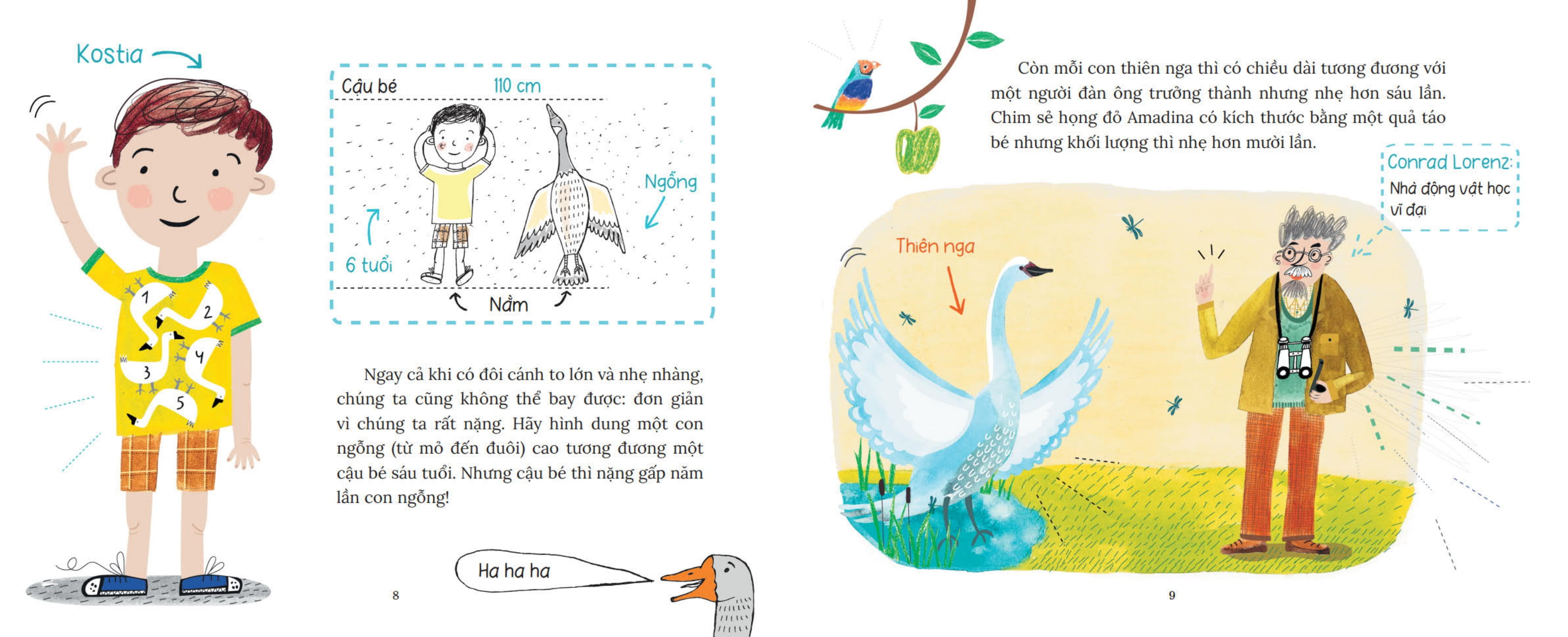 khoa học bỏ túi - tại sao chim bay không rơi?