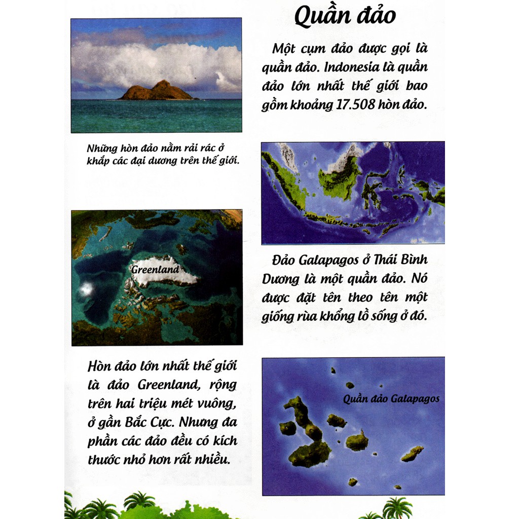 khoa học cứu mạng - phiêu lưu trên hoang đảo